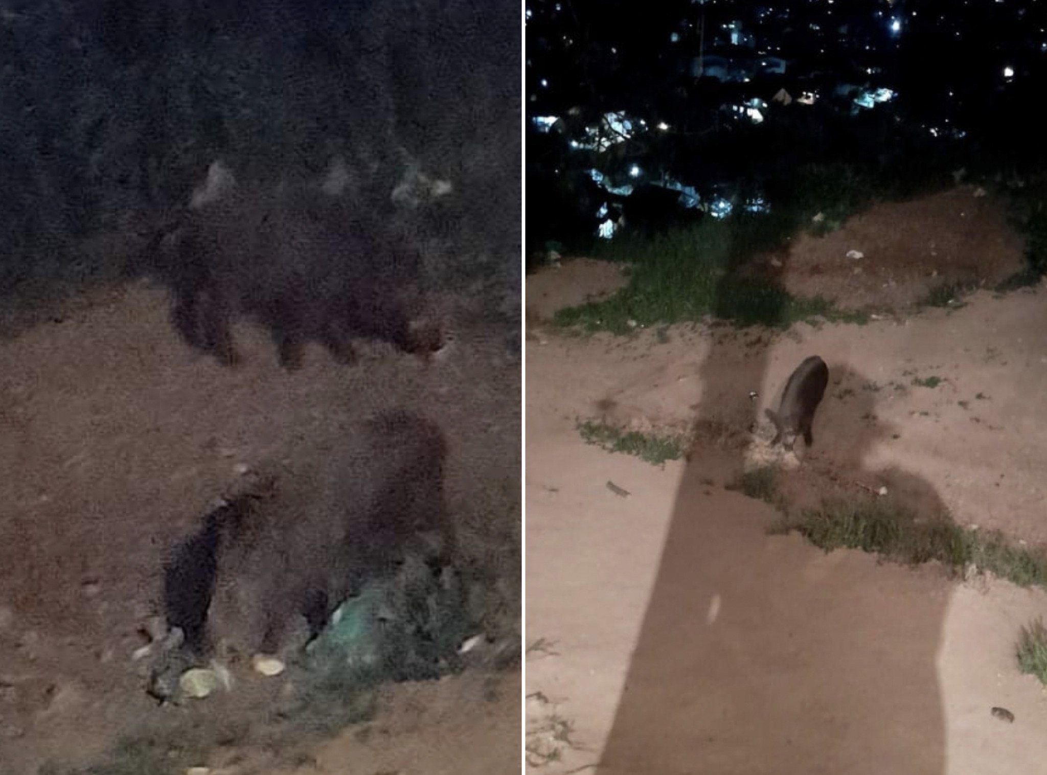 Screenshot-2022-05-18-at-12.13.29