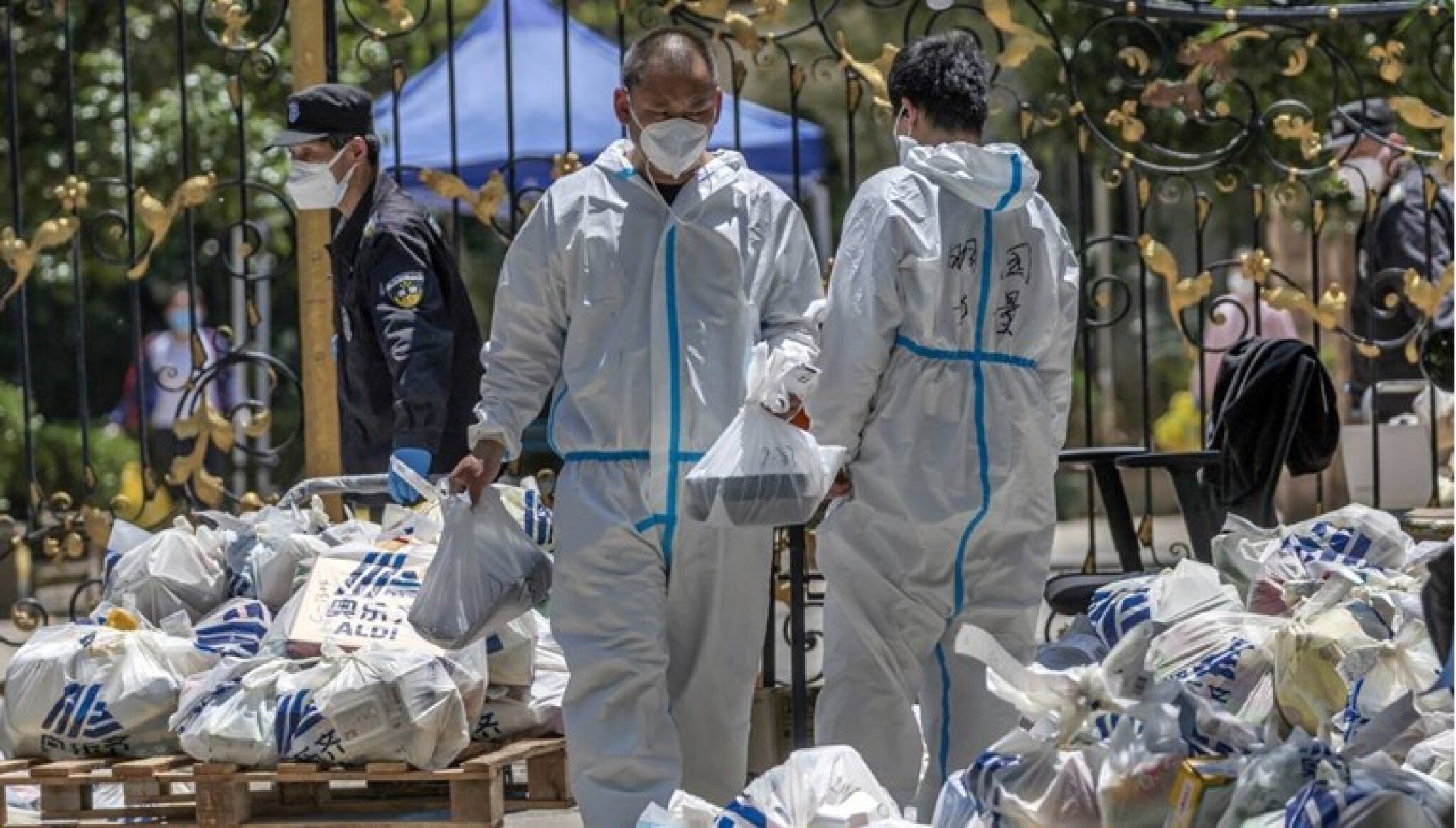 442fe464-5c09-4945-ae0c-fc1a3c849943