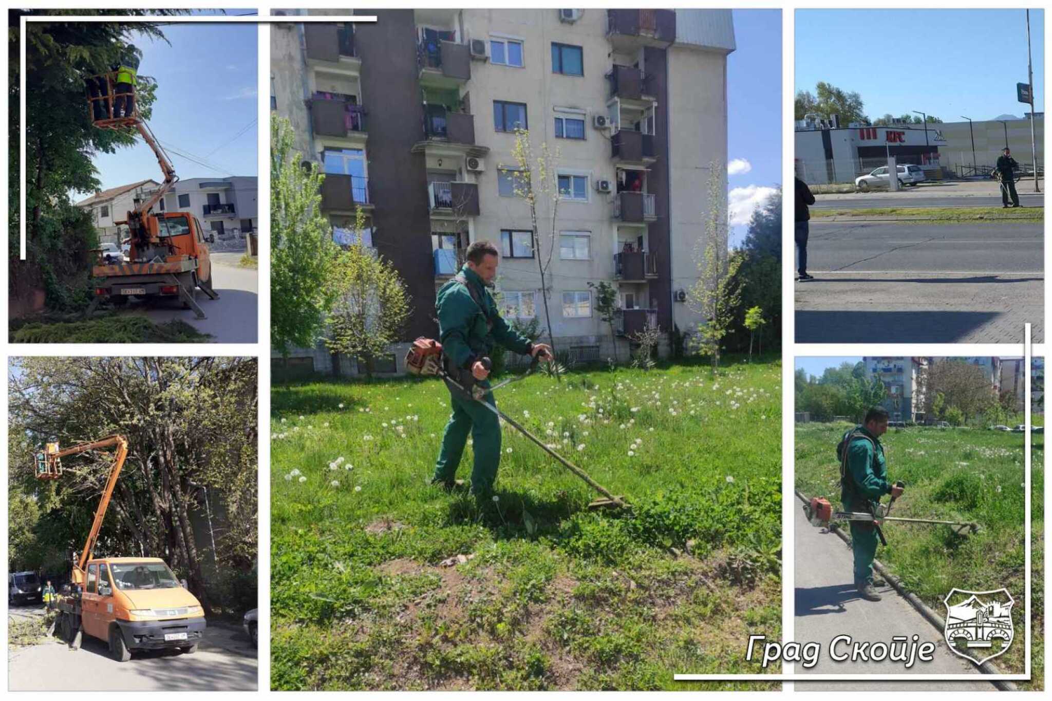 Golema-proletna-akcija-Butel-3