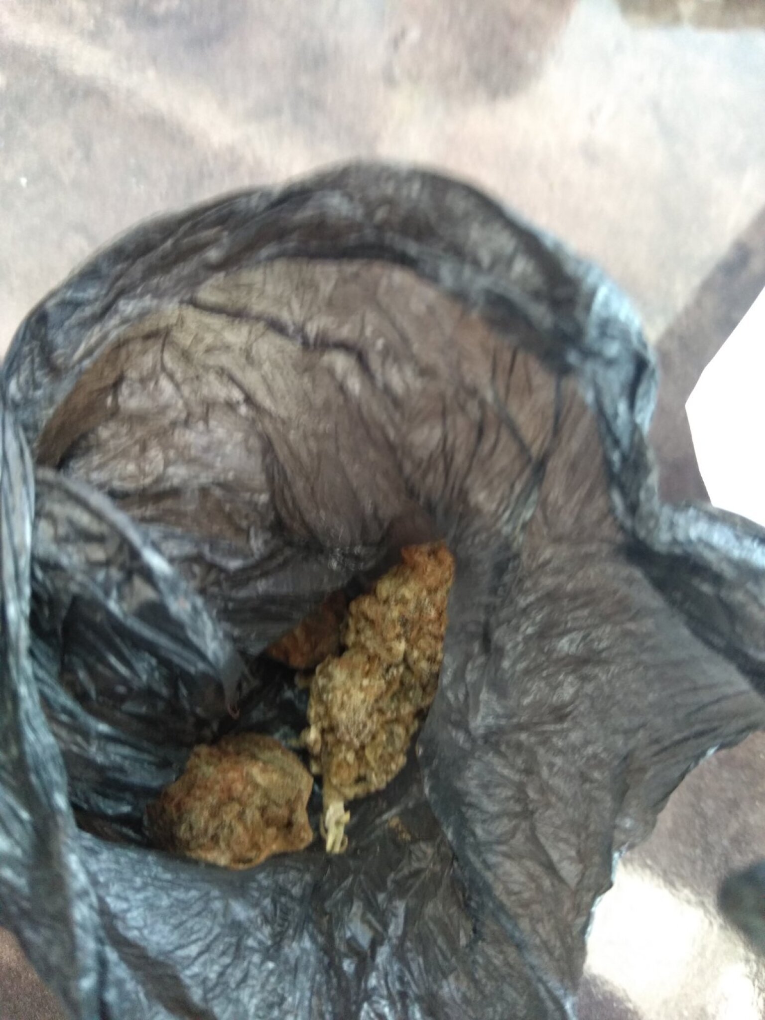 IMG-654c706138b45ede12cffef1f50080b9-V