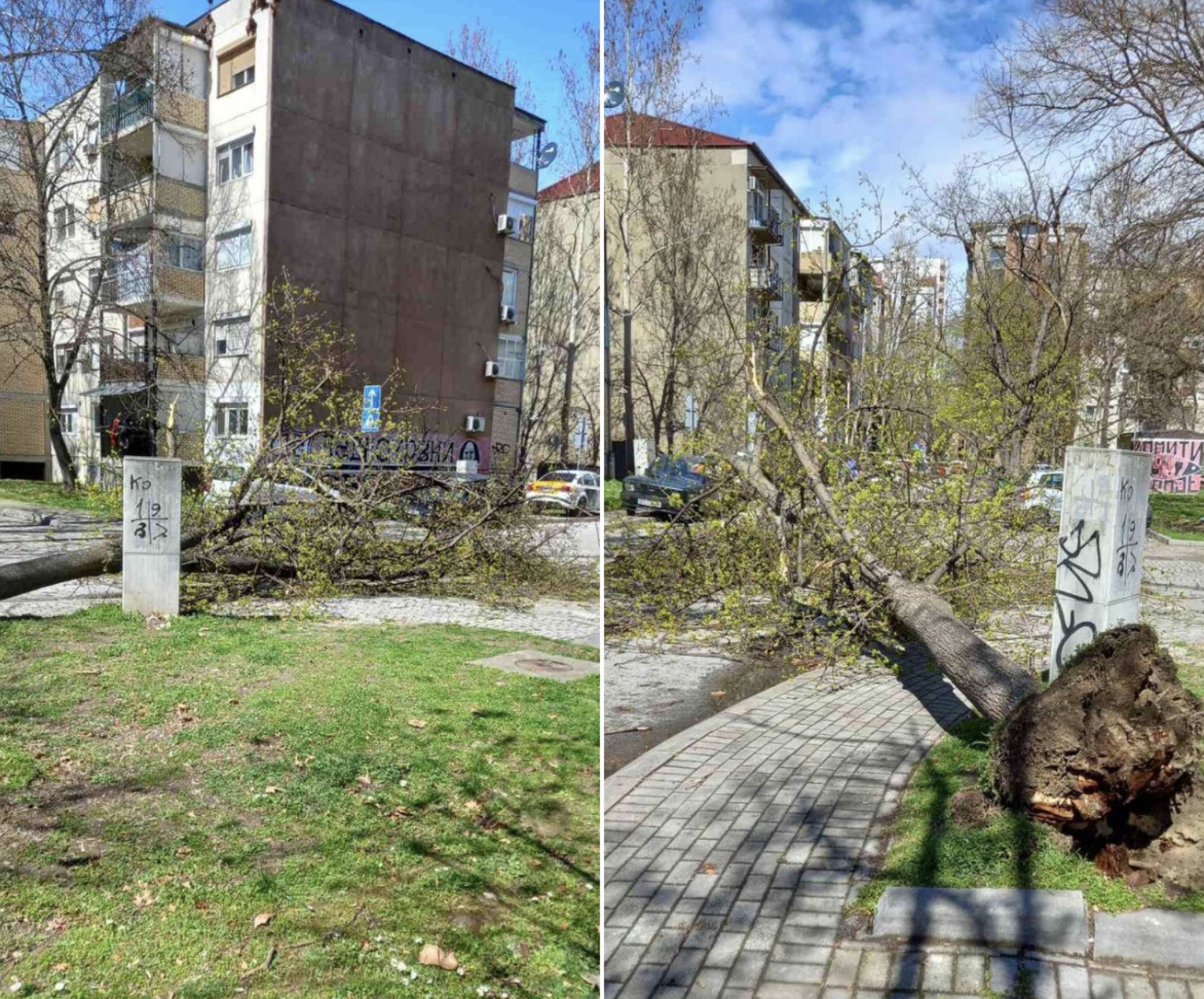 Screenshot-2022-04-02-at-16.03.48