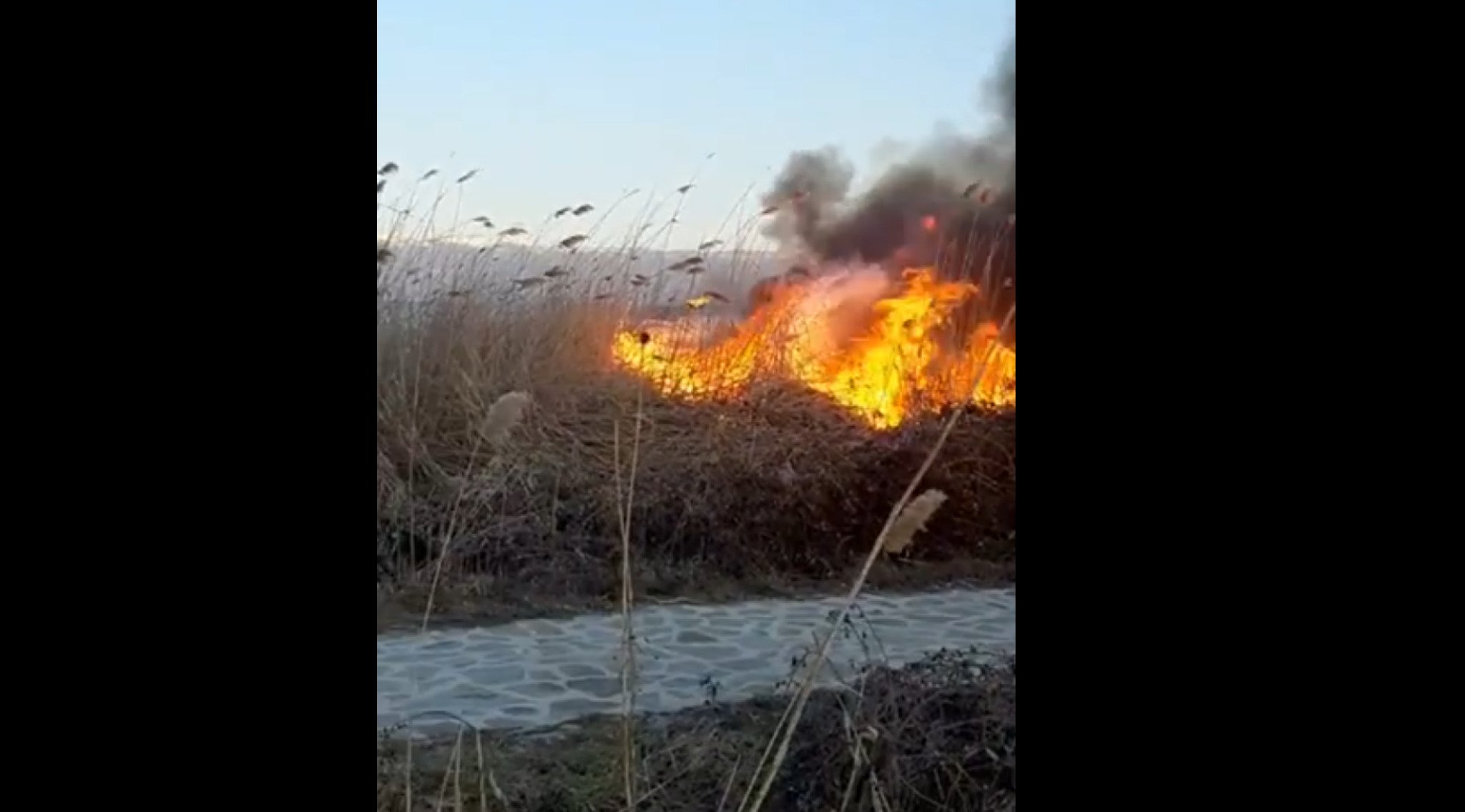 Screenshot-2022-03-23-200222