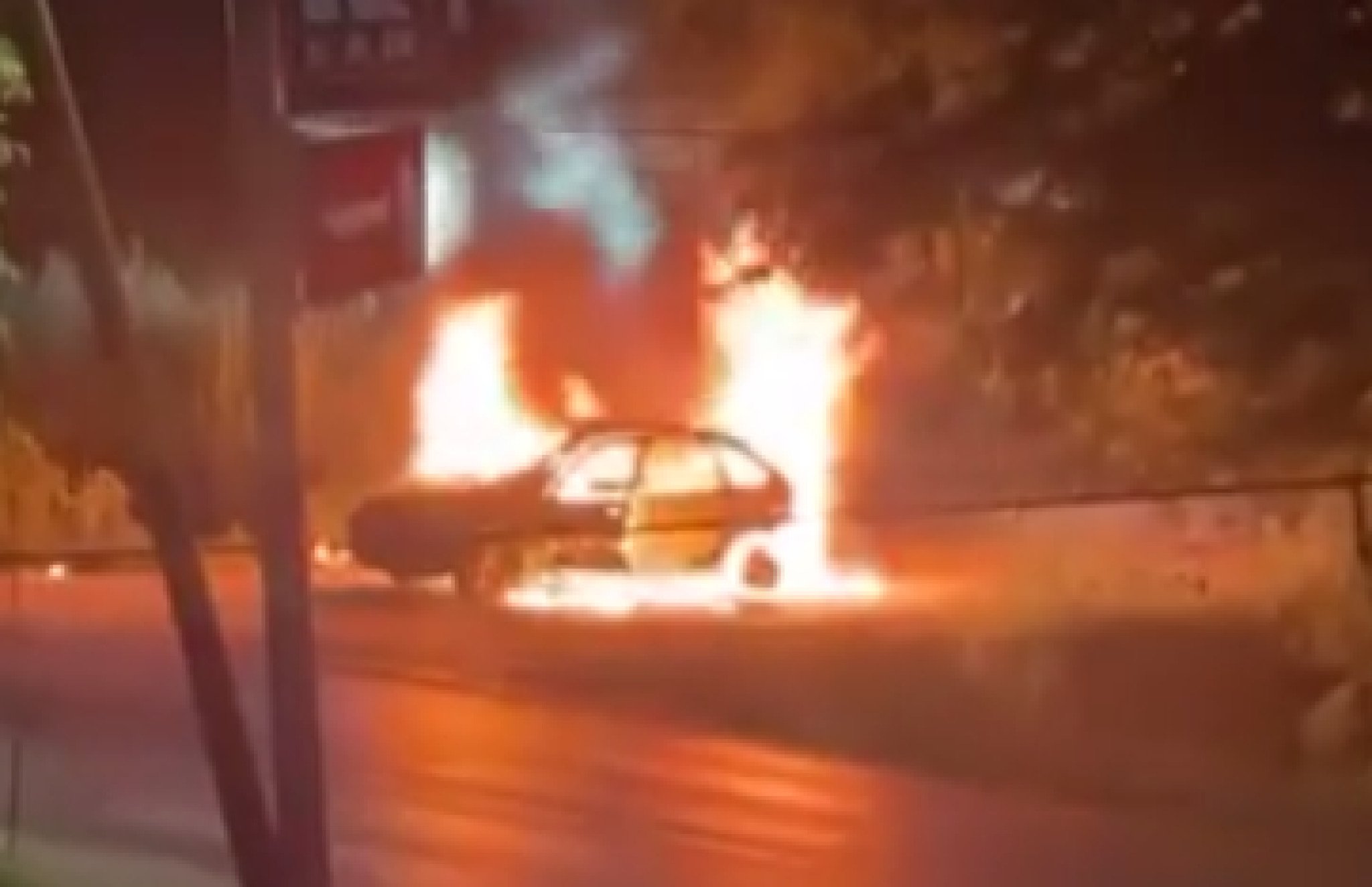 media-librarytfg839p8gjjtfMiWi8O