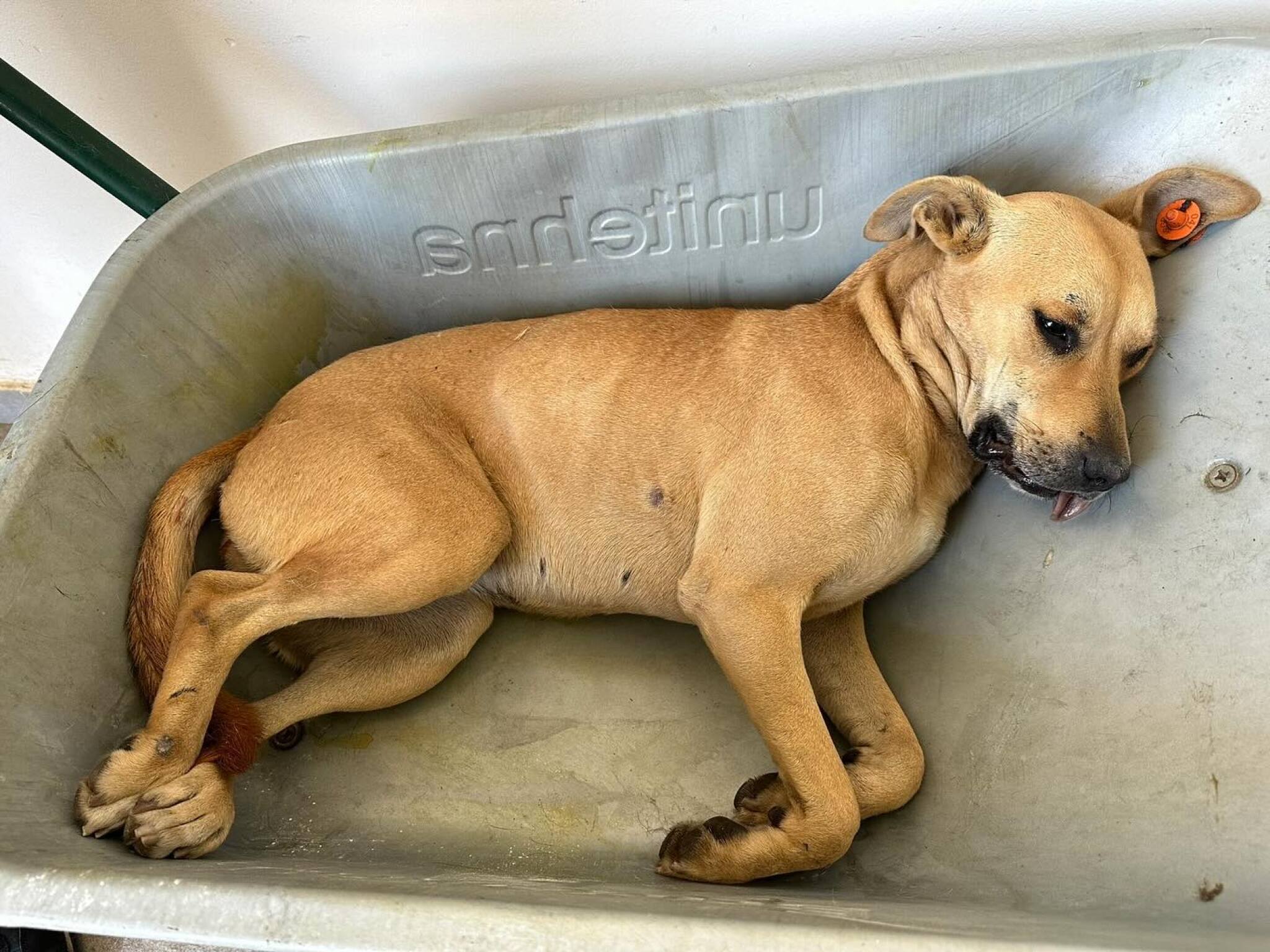 media-library2r5u8560t3doeySexxf