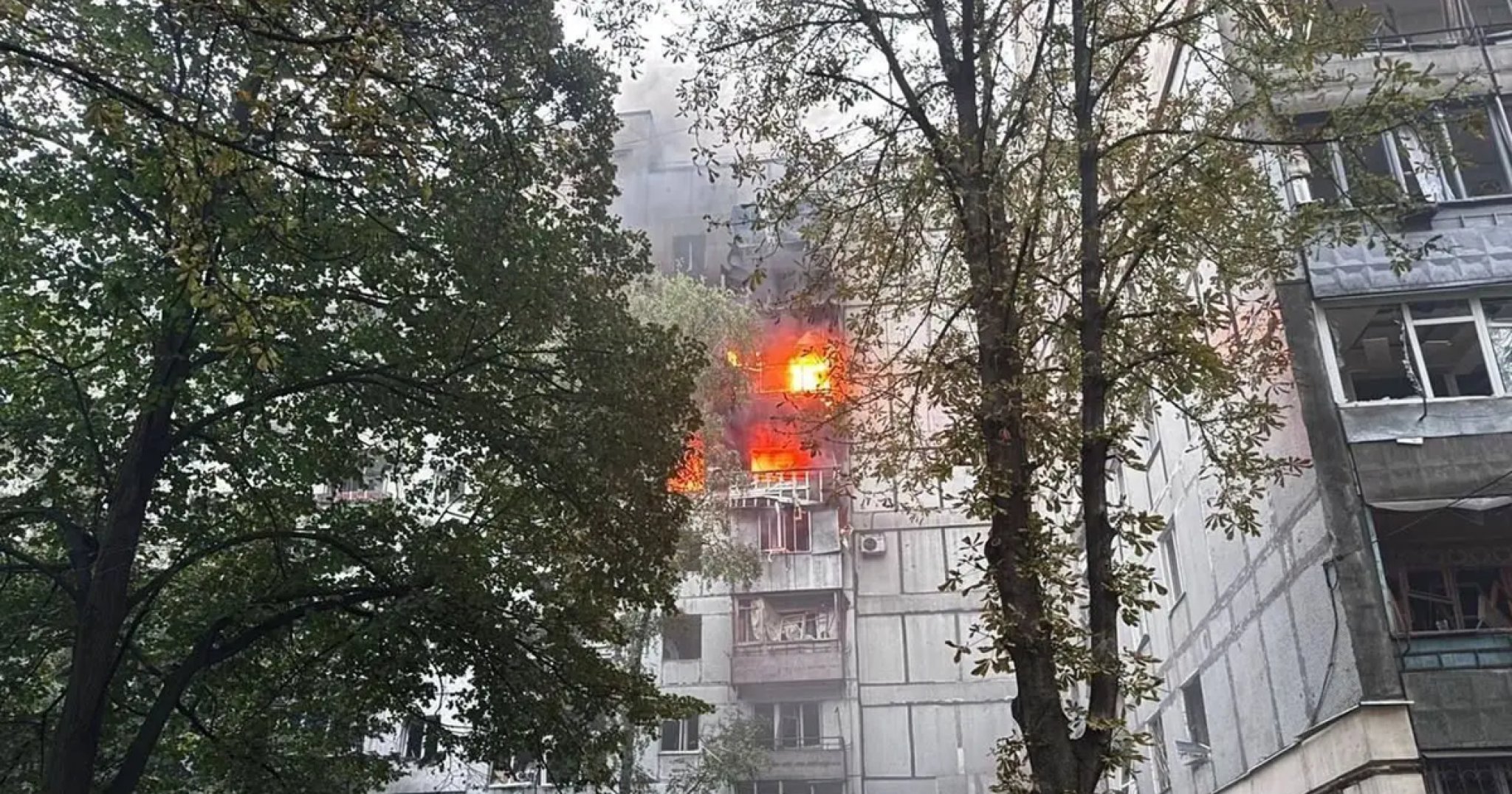 media-libraryf71vc2ksqihl2SBQ3WL