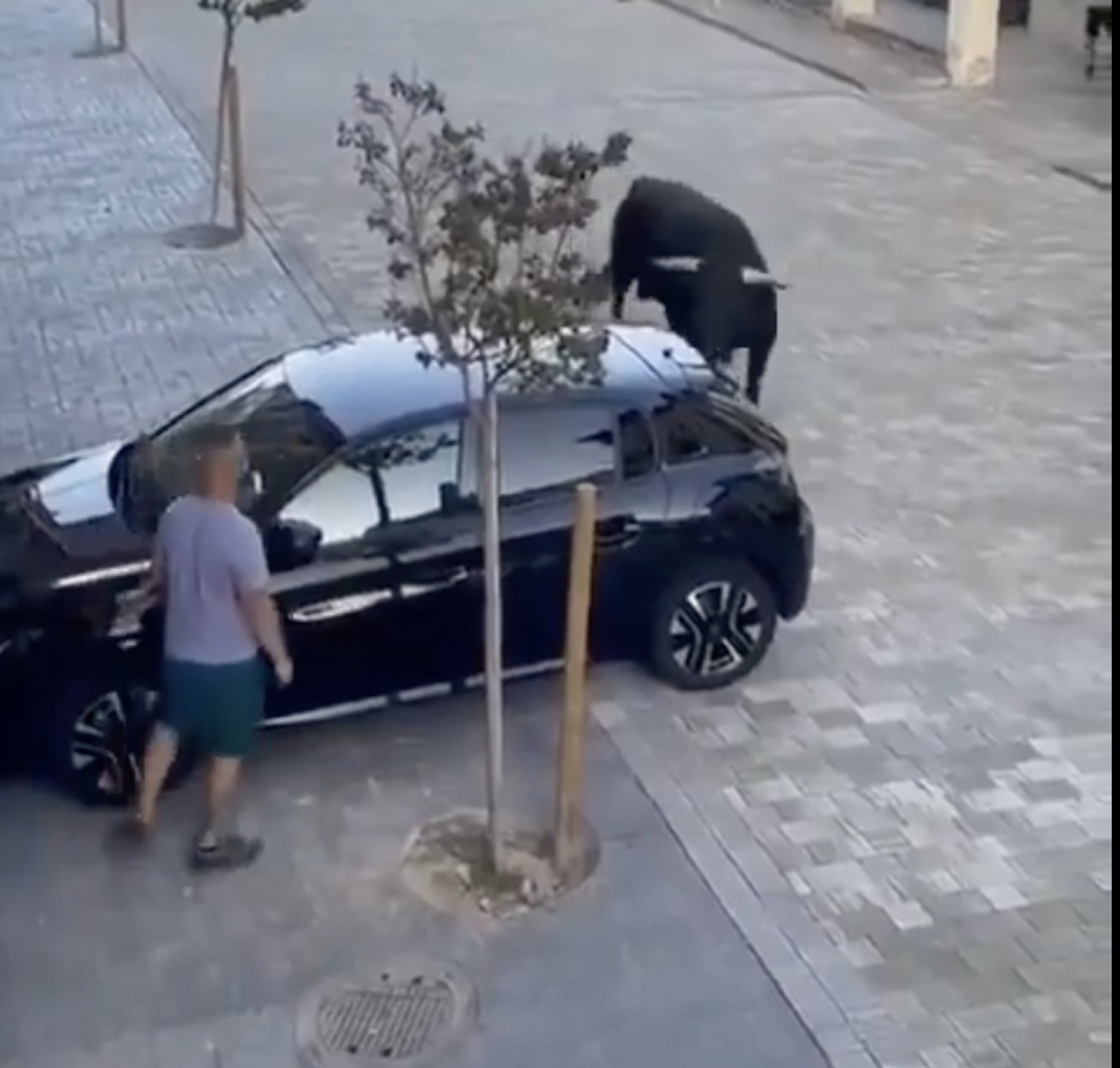 media-libraryr0hkg7m4buc309fVRRE