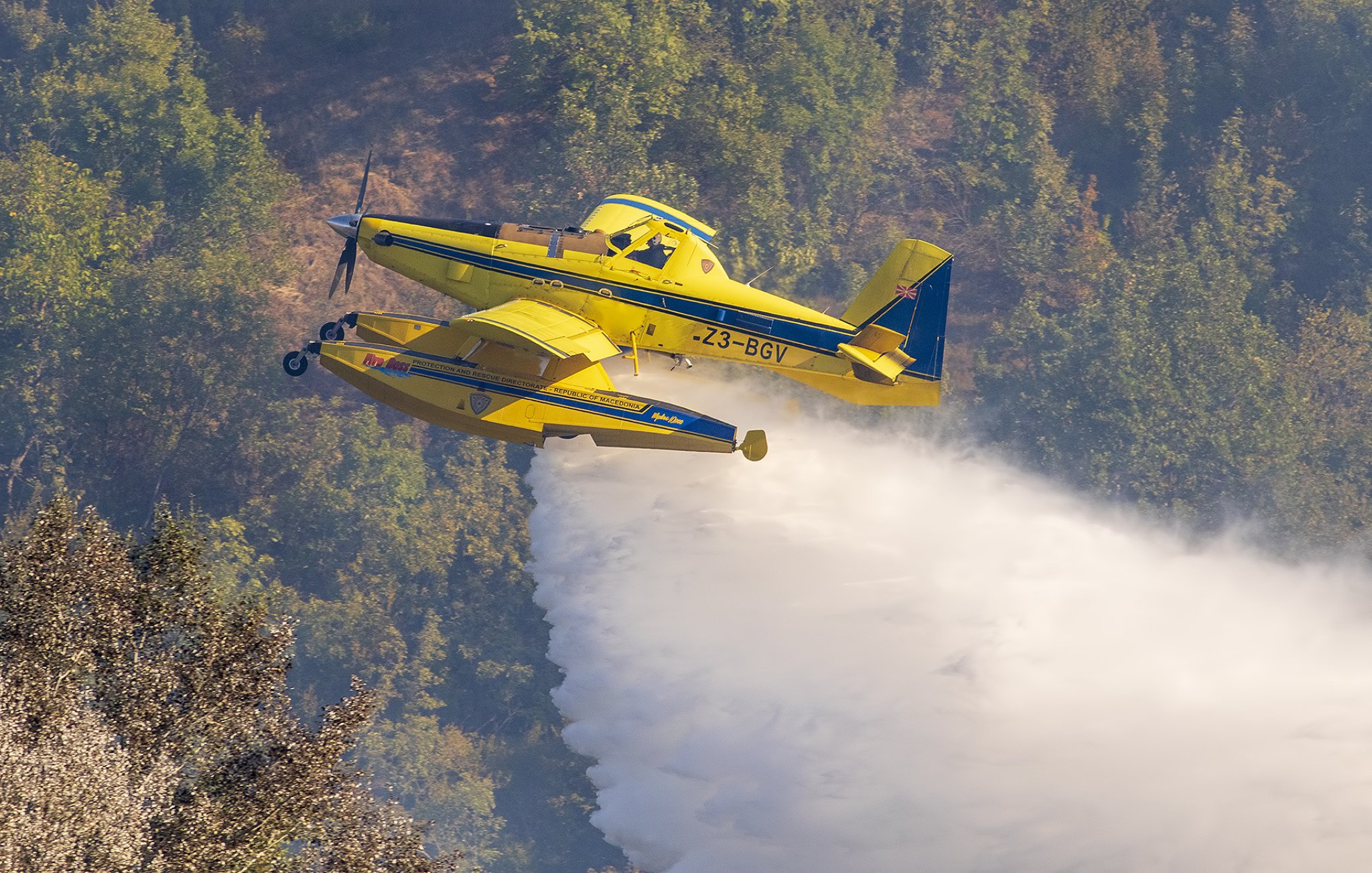 media-library8qs70ohqjp7g6O1R4SL