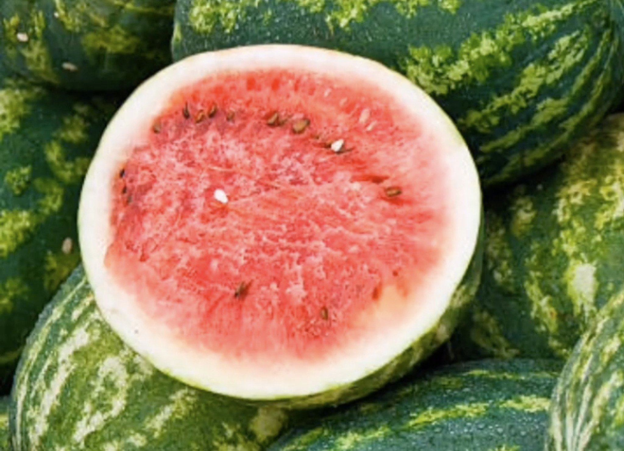 media-libraryncq9c5u1ffcr7eQyys1