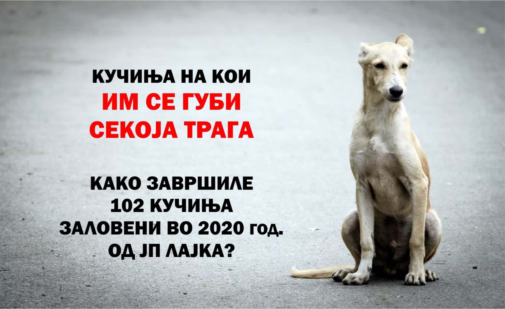 274174659_5126524490737081_7982034676771721140_n