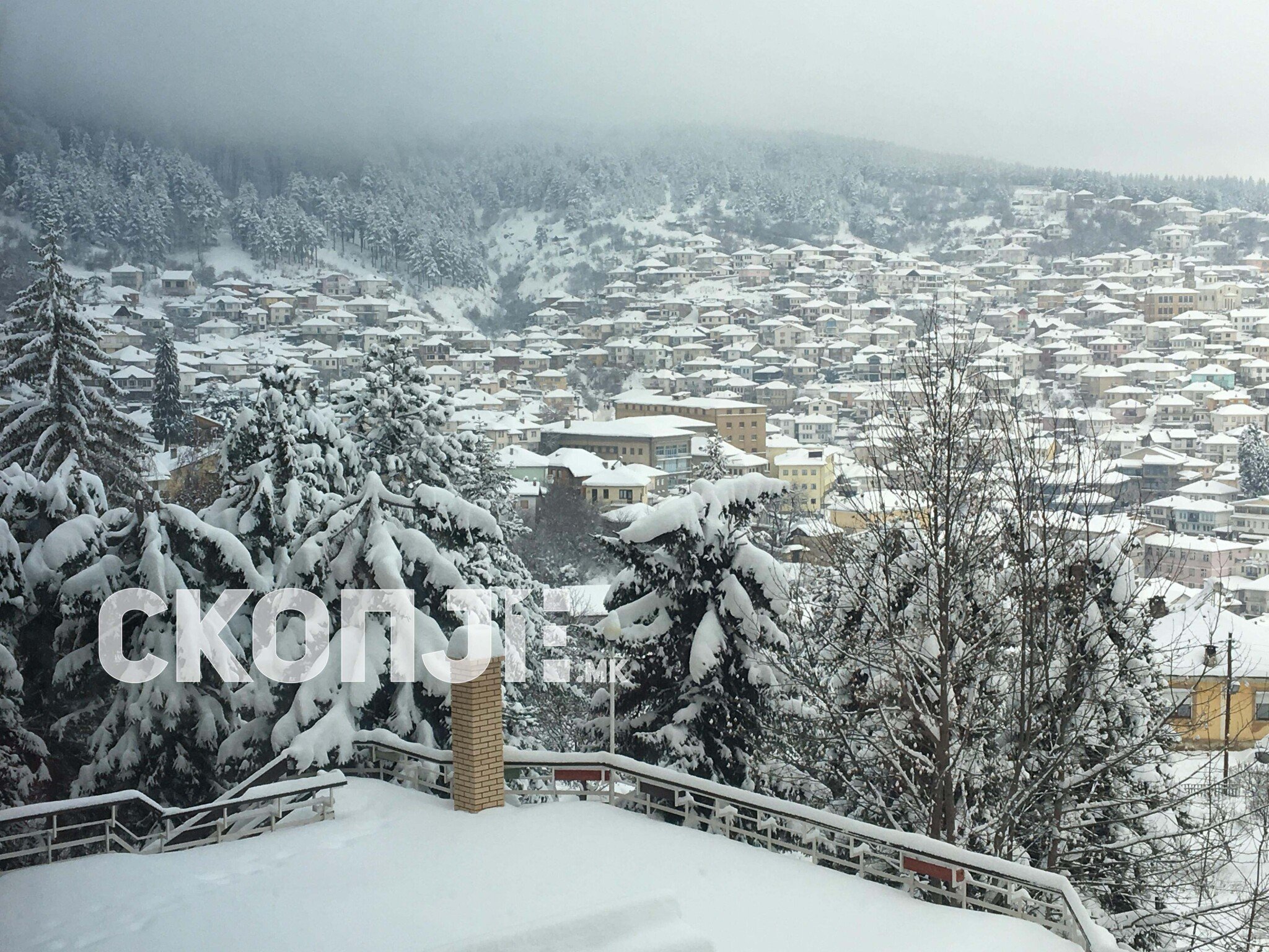 50234339_2307366386217032_5056187048772239360_n_2307366379550366