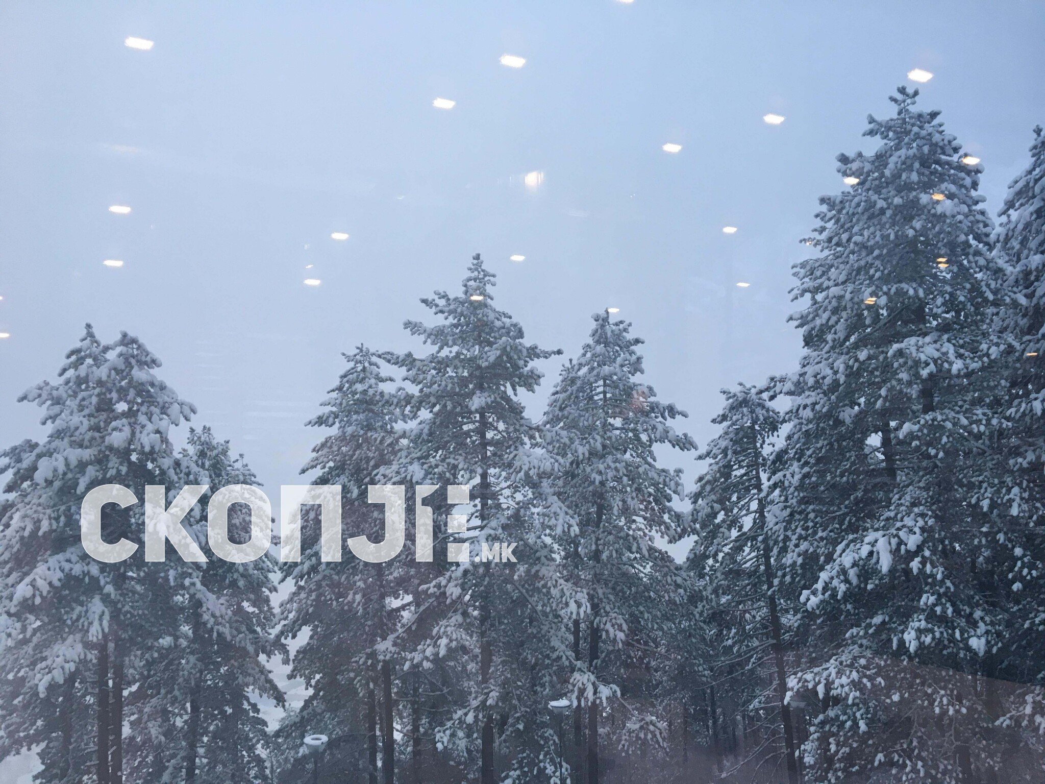 49939034_276406699699199_5996088938685530112_n_276406693032533