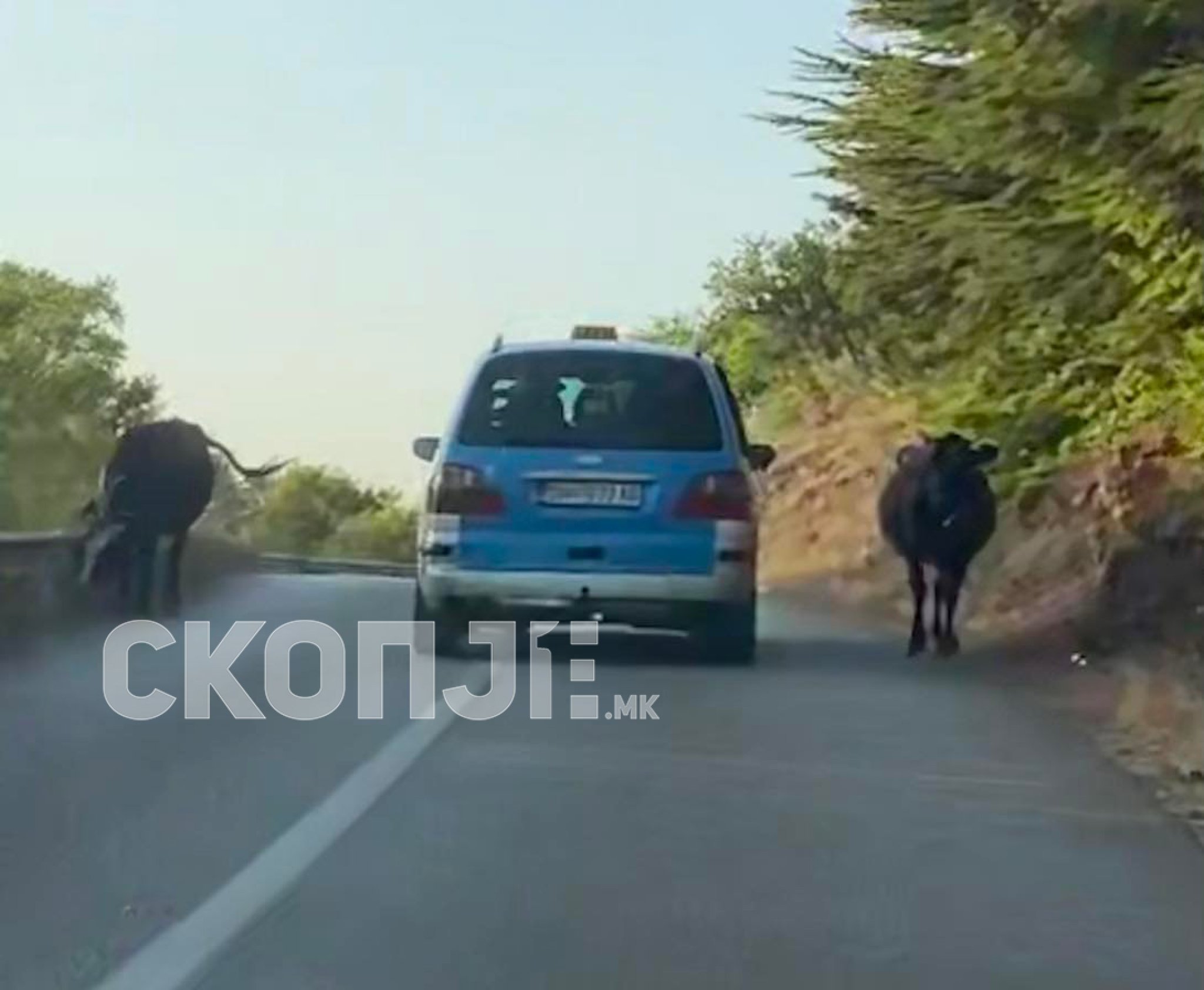 272828935_322816903107219_1594673547293664520_n