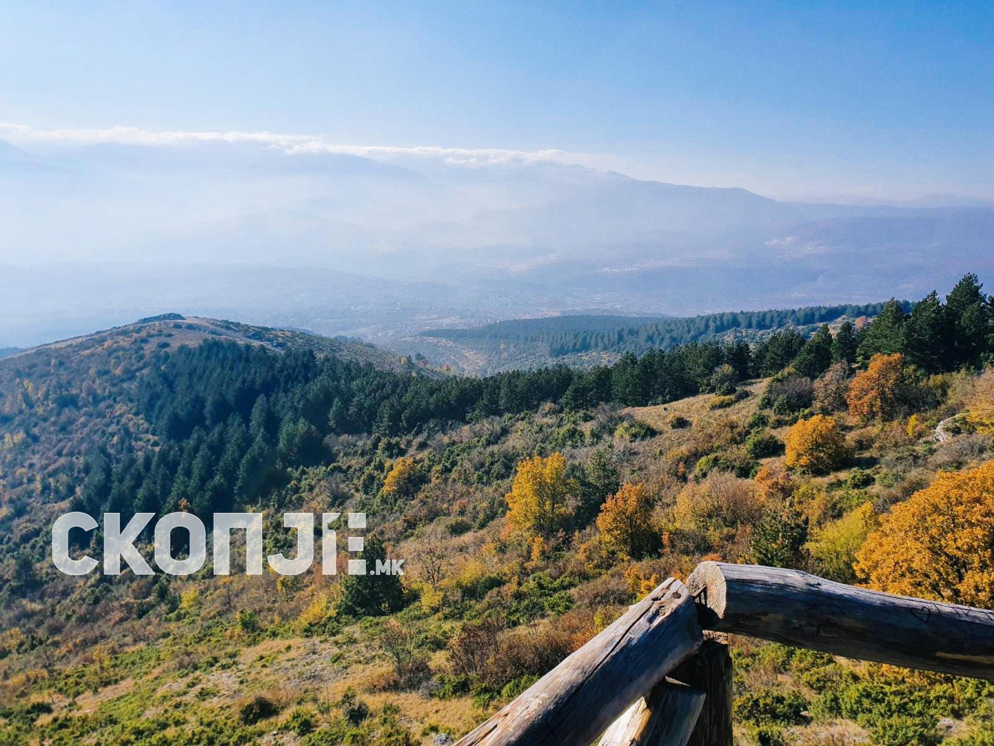 271937299_421026089809384_1880700475912930685_n