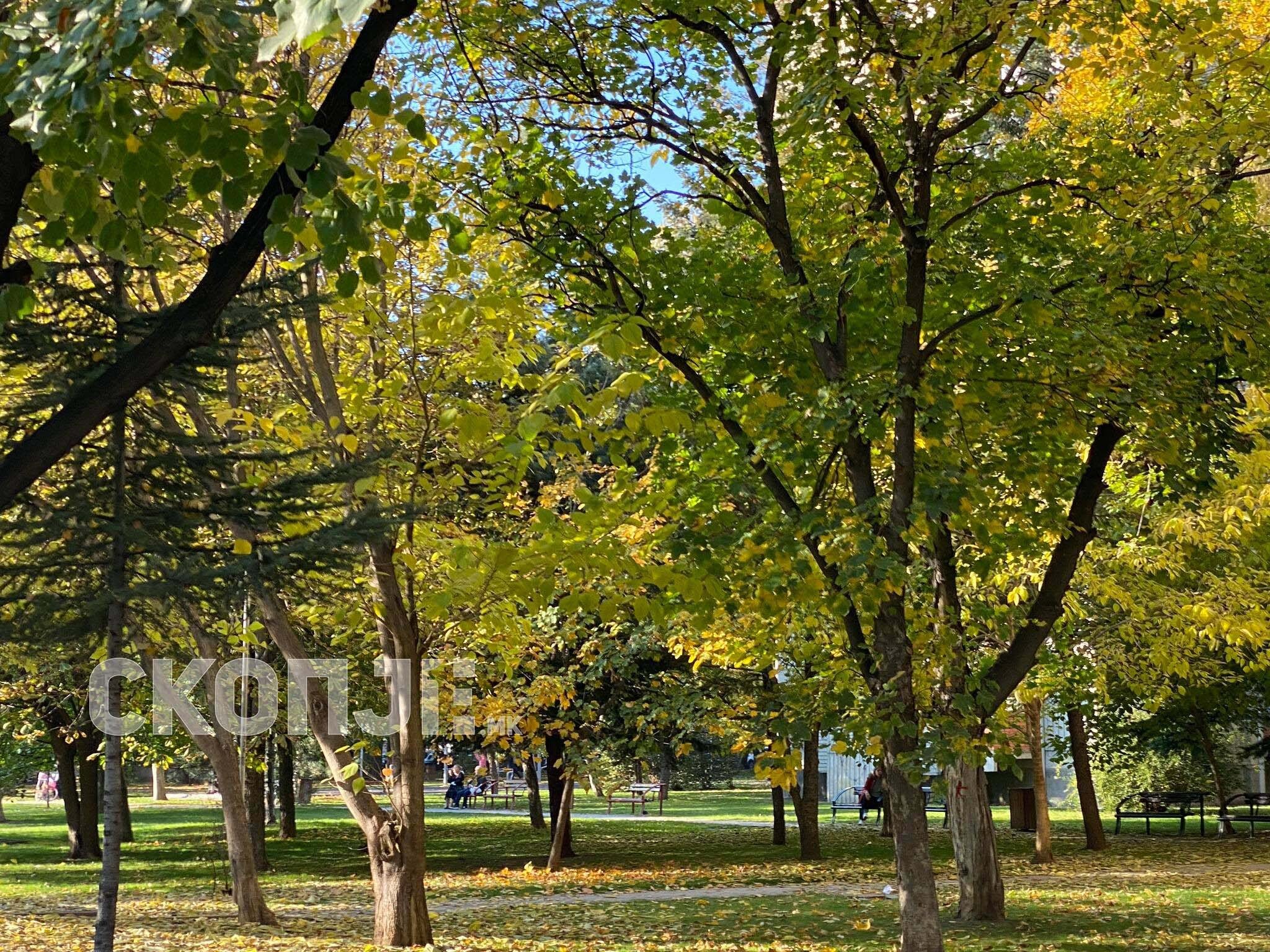 272063564_3120149648241589_1188196859652219359_n