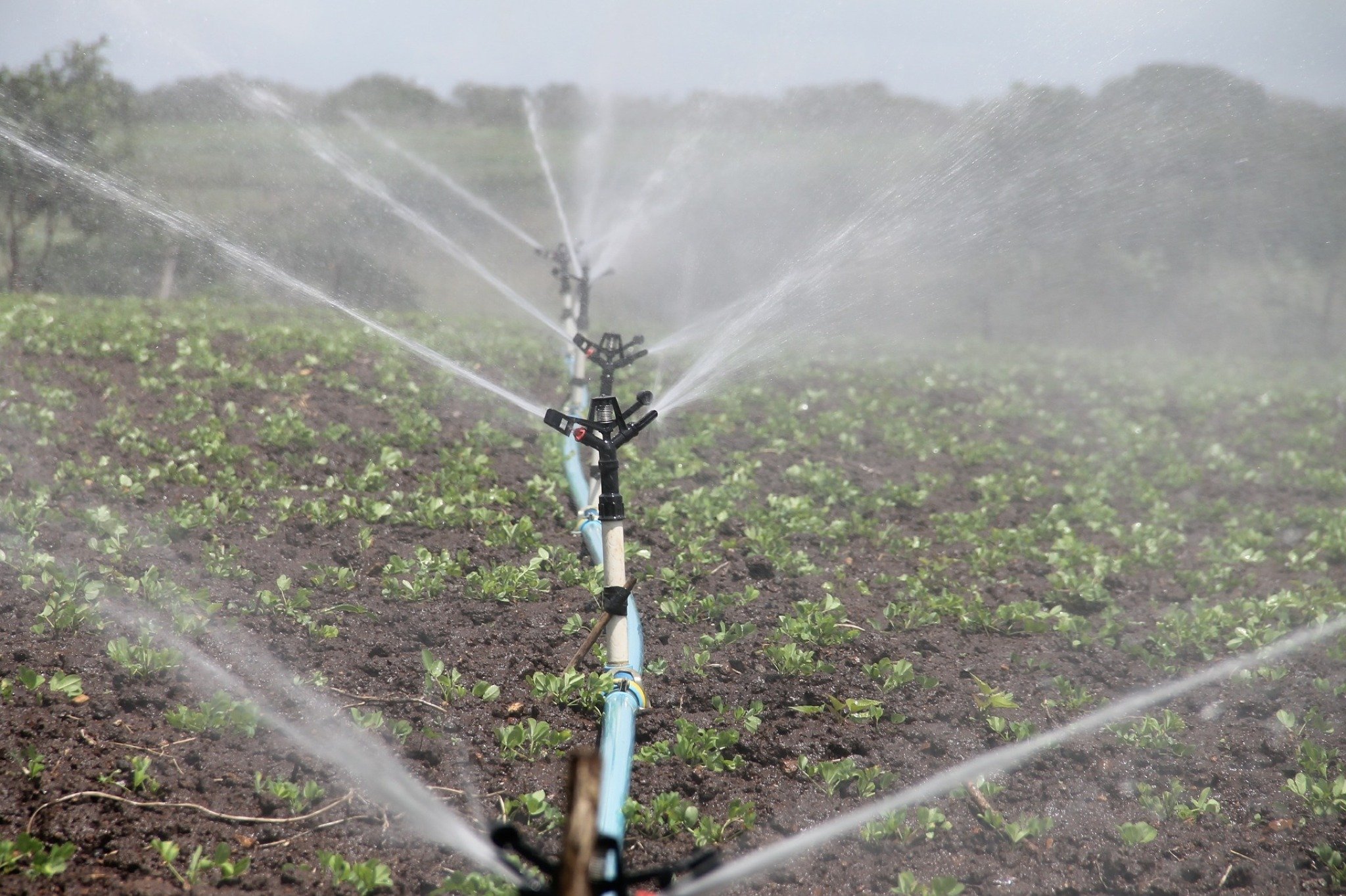 irrigation-gc43ae3868_1920