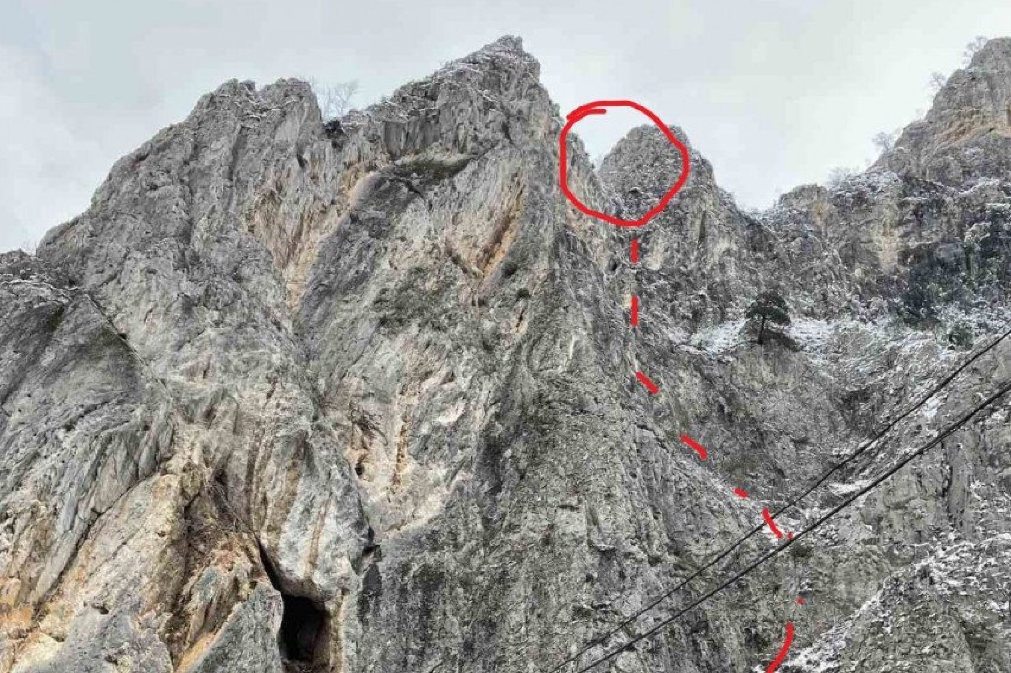 4rqck-viber-image-2022-01-21-10-35-17-296