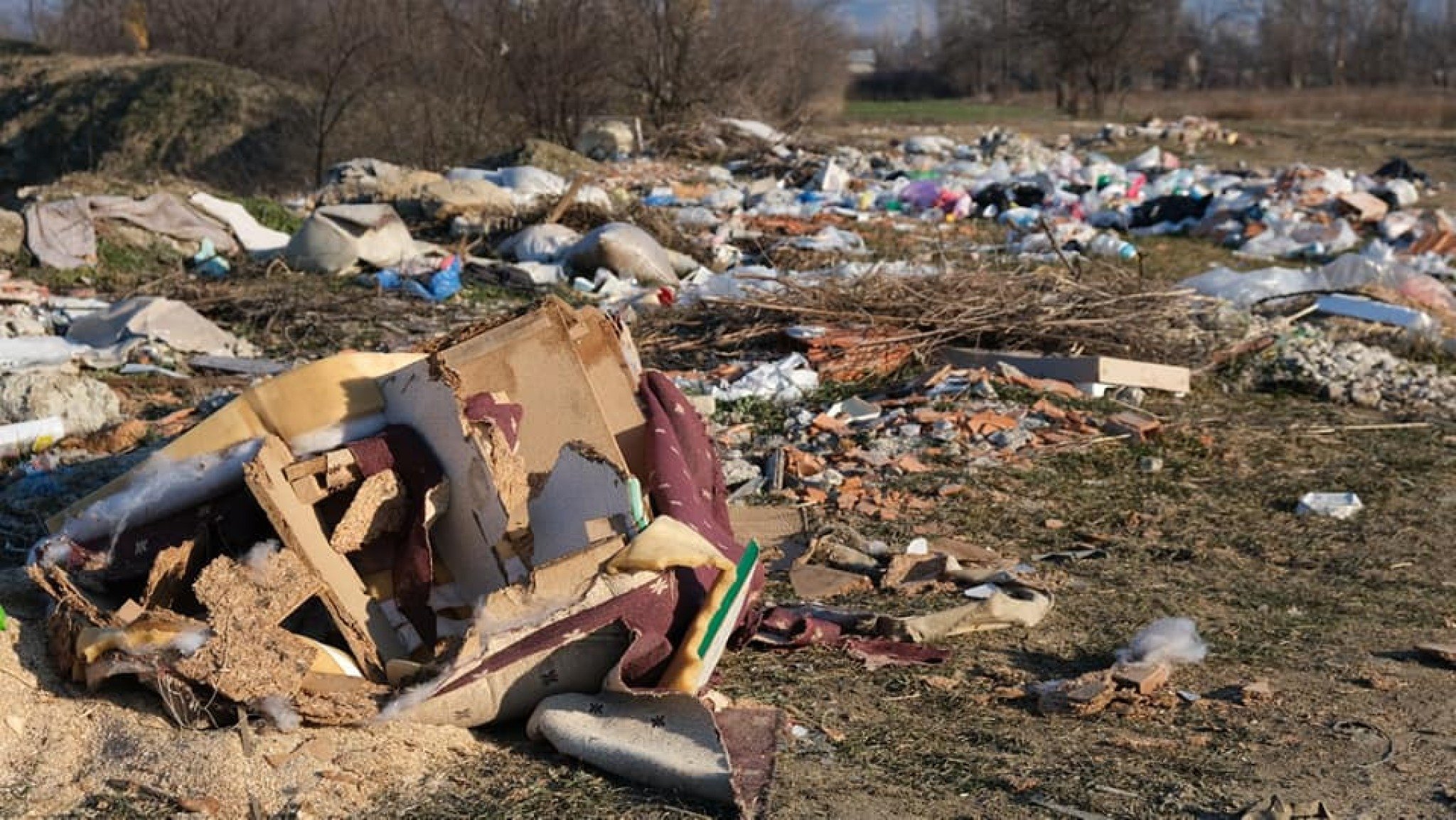 272624430_283547767099773_4822886880286262489_n