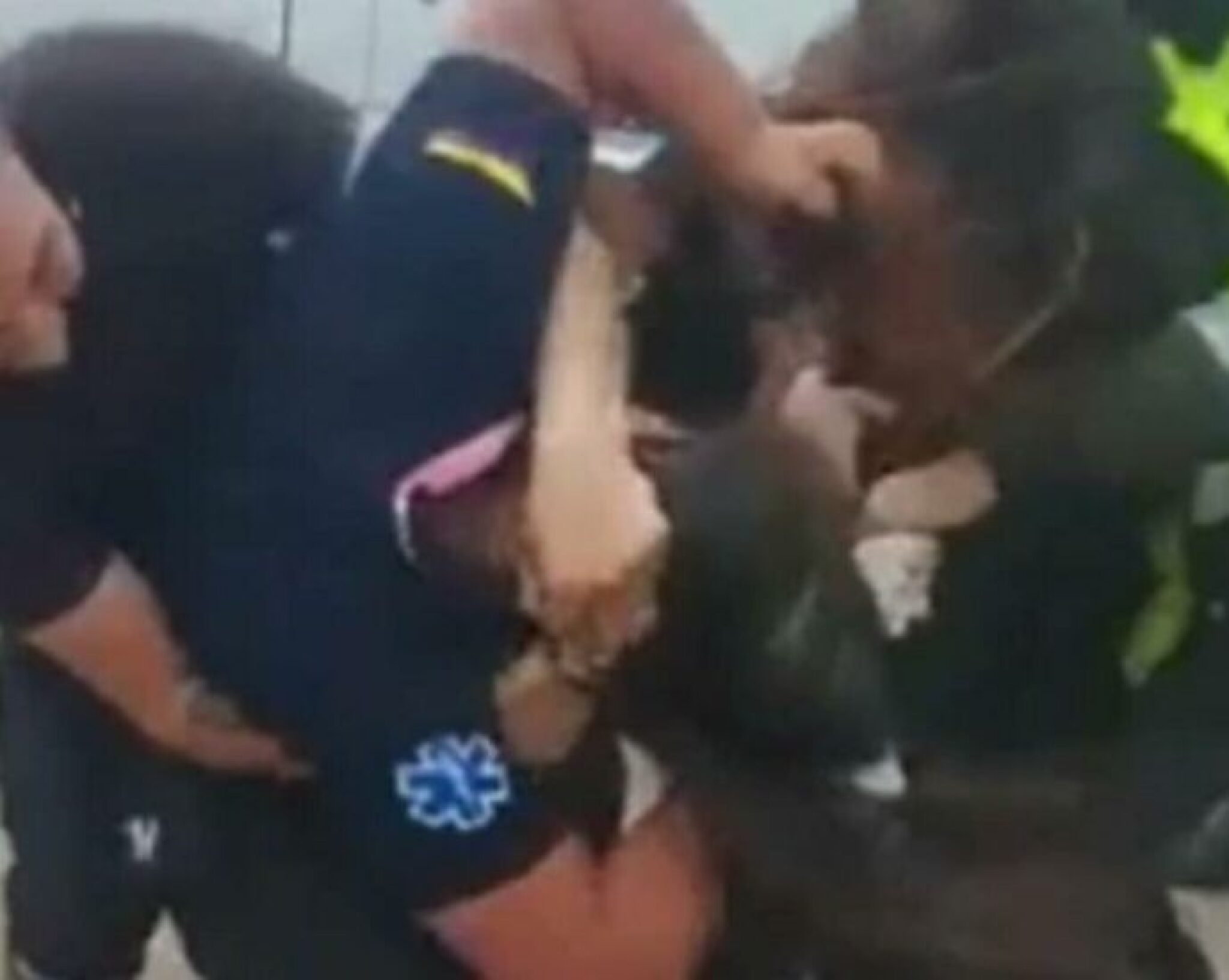 1087139_sestreee_ls-690x550-1