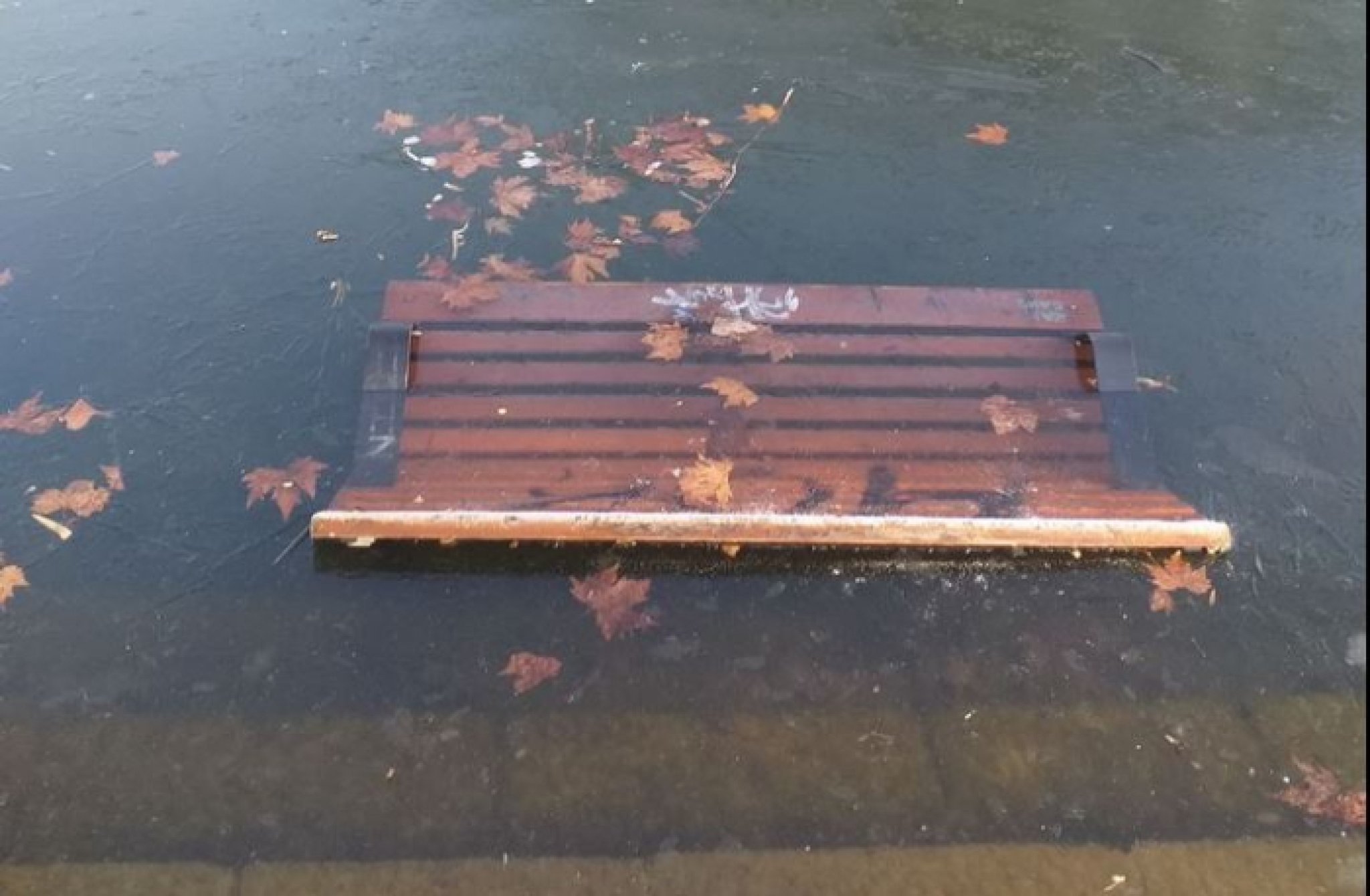 klupa_vo_ezero-330541