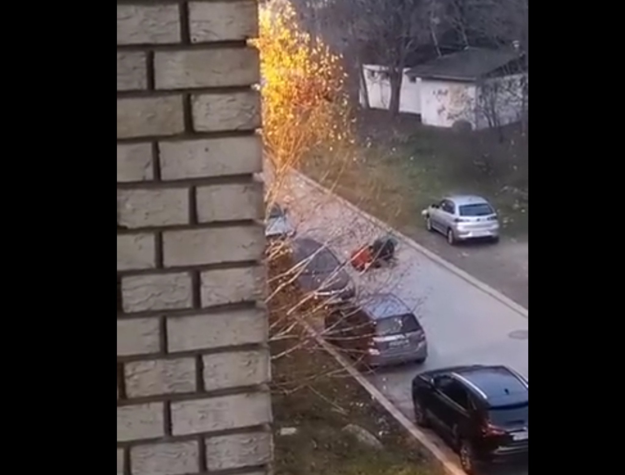 Screenshot-2022-01-03-203126