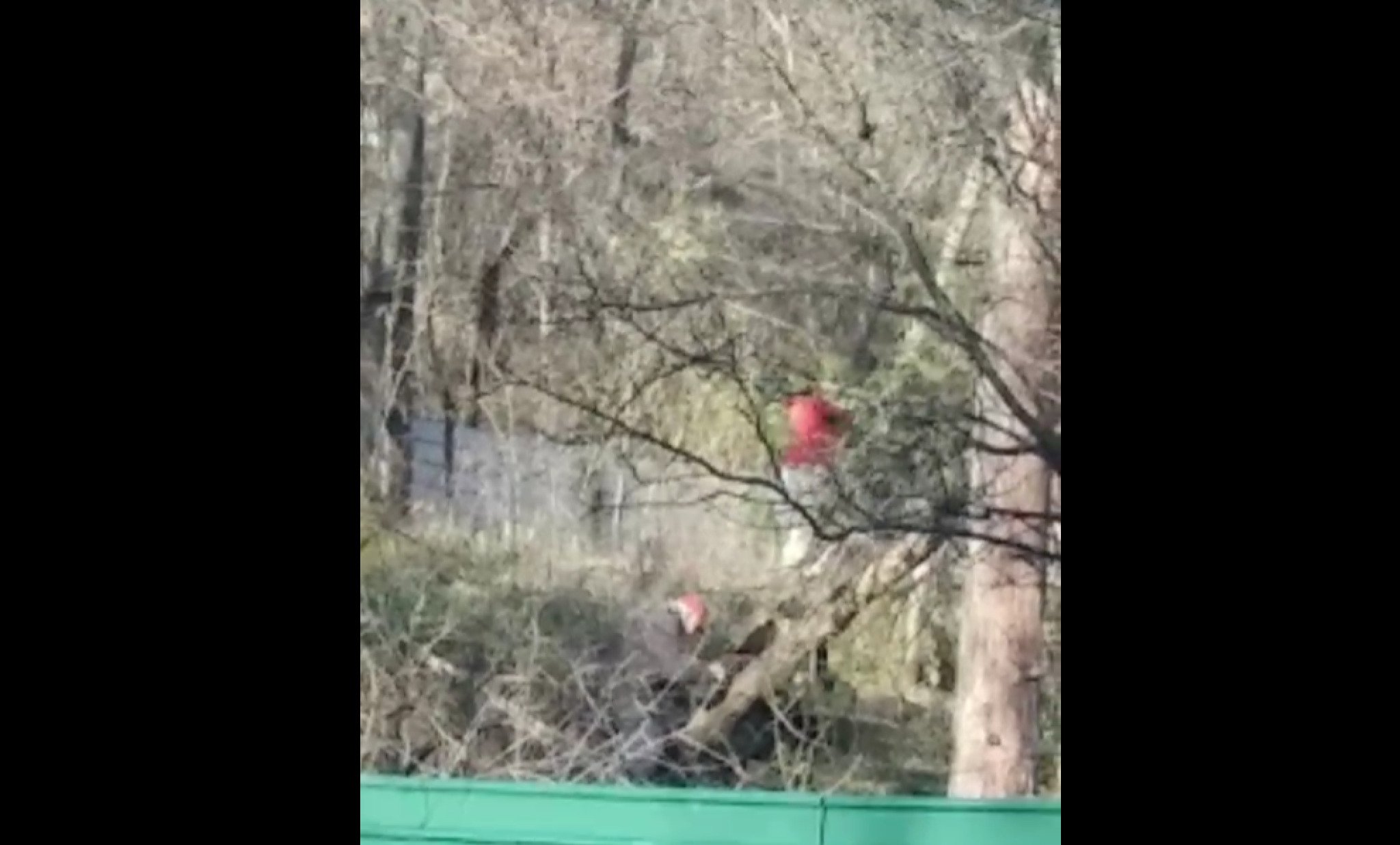 Screenshot-2021-12-31-105408