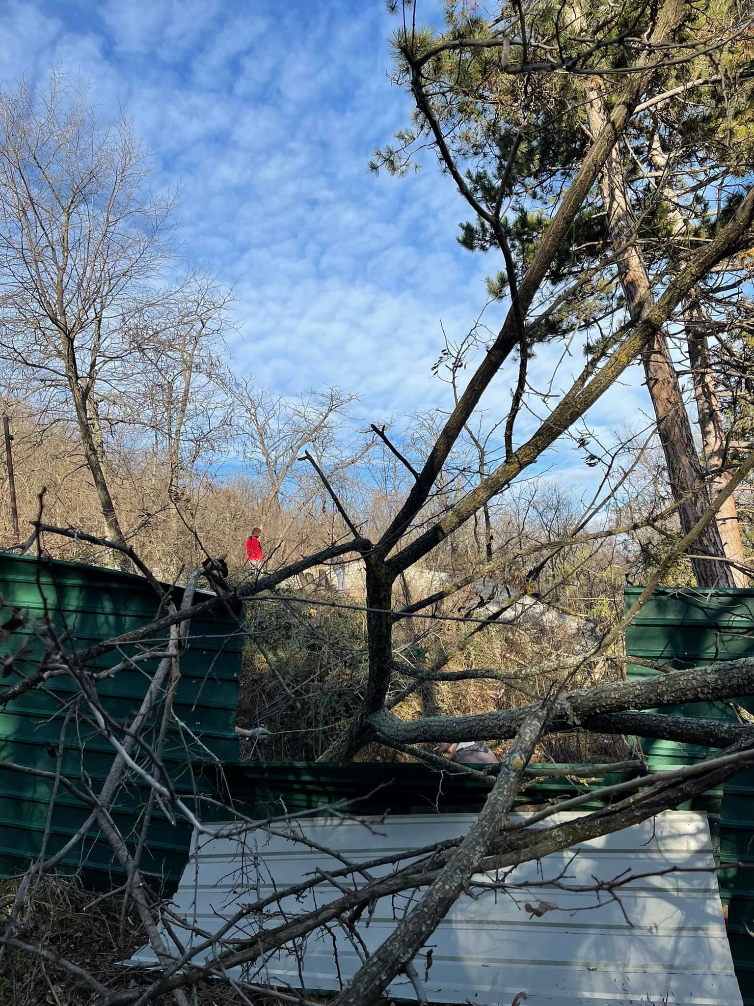 271132270_10158647020123325_1665700314073641894_n