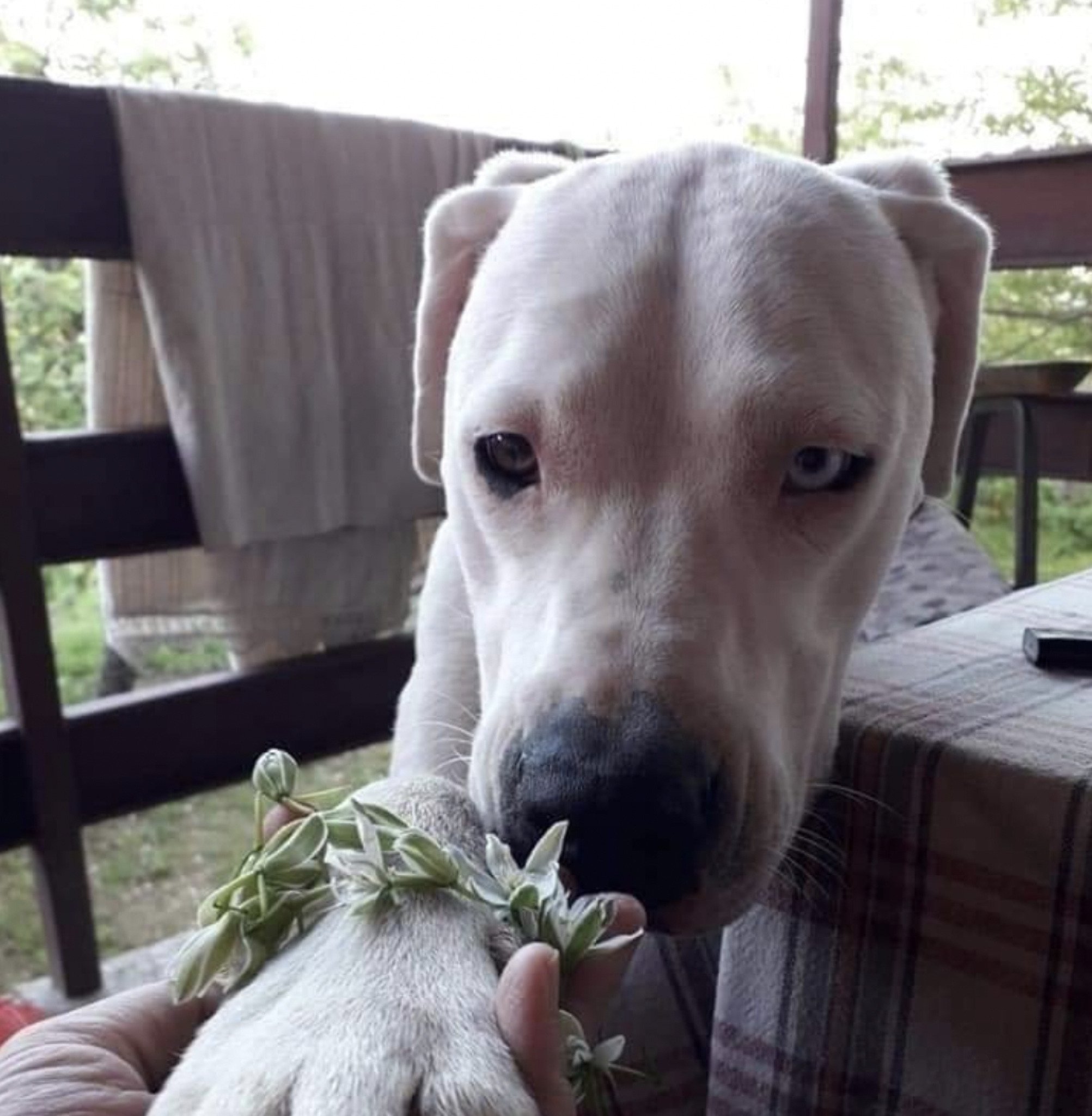 Screenshot-2021-12-13-at-19.03.57