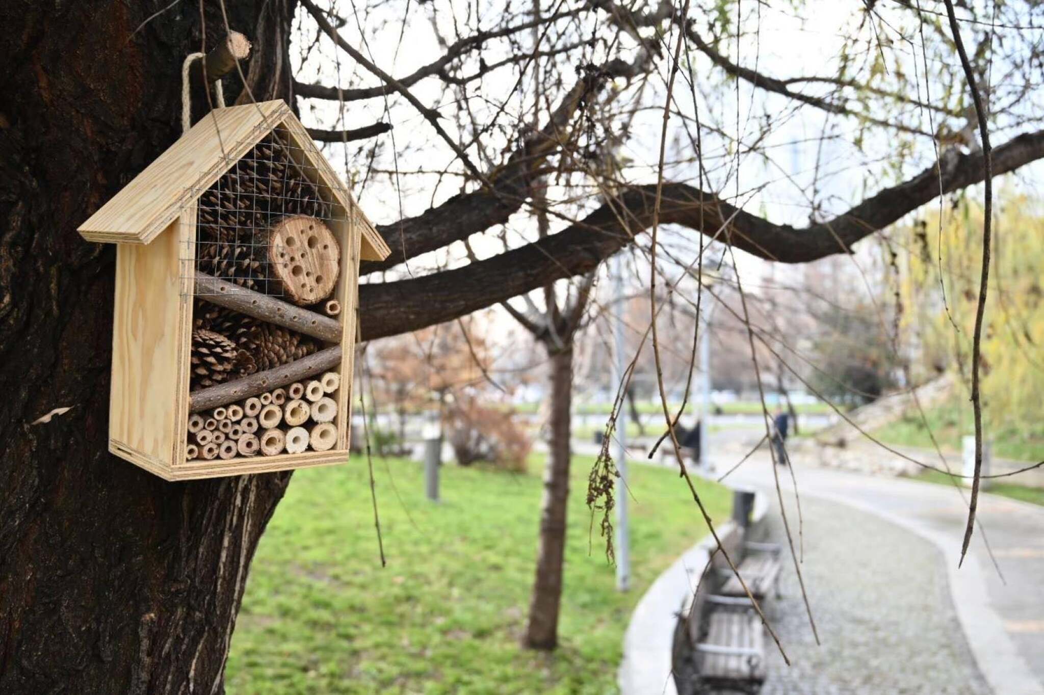 265288868_1516381132060718_3963034817057852489_n