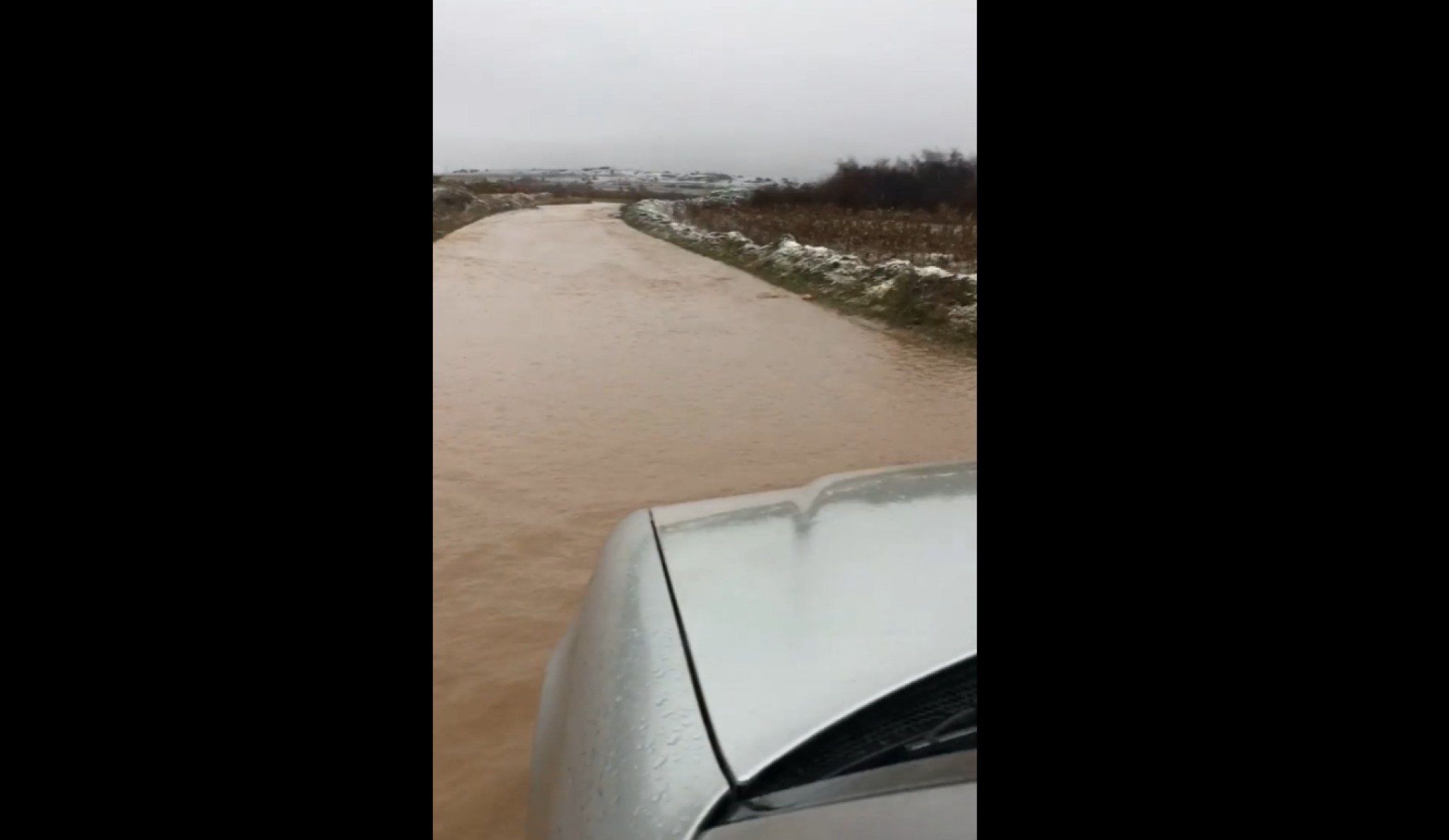 Screenshot-2021-12-11-144723