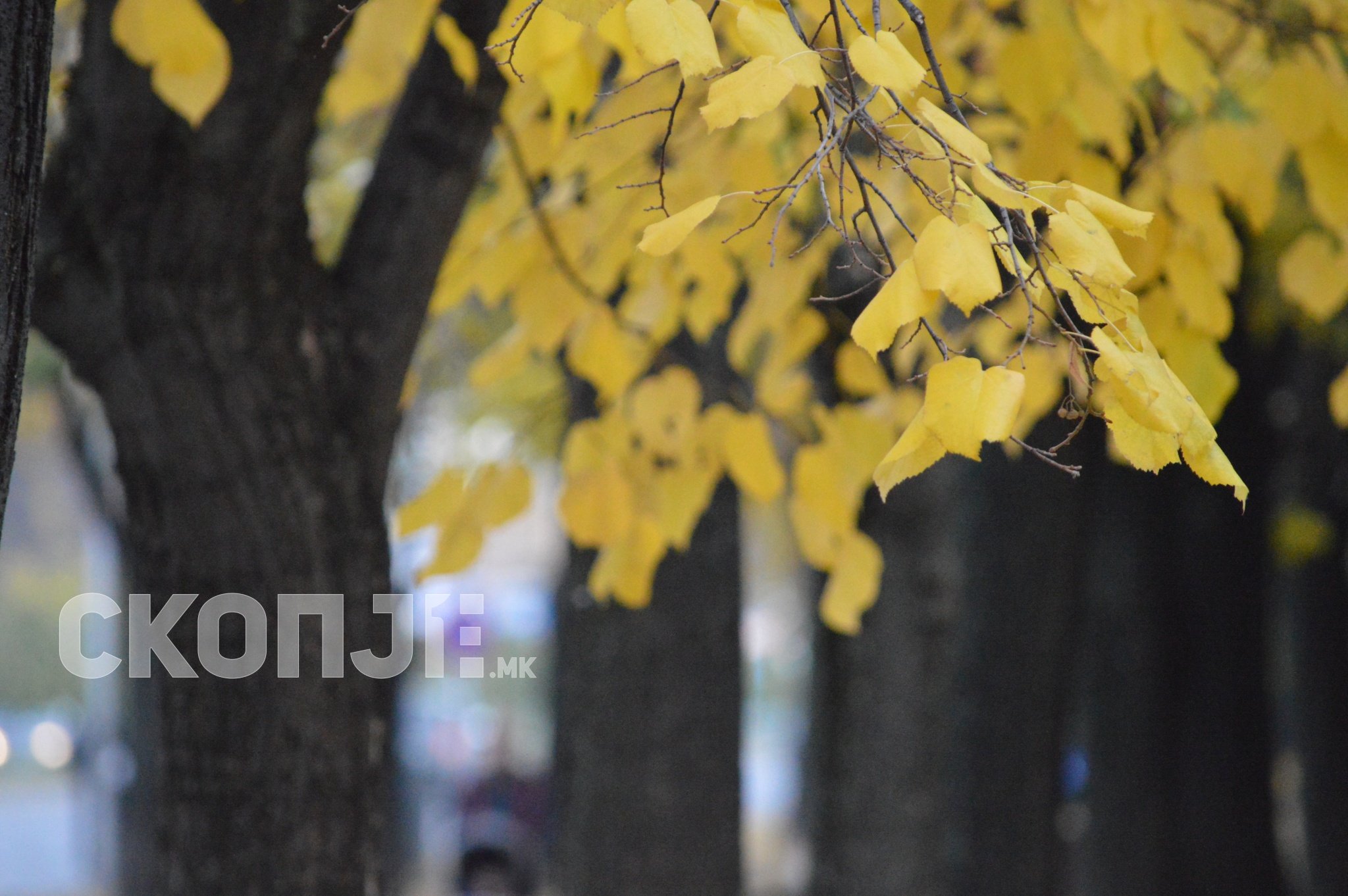 vremenska-esen-vreme