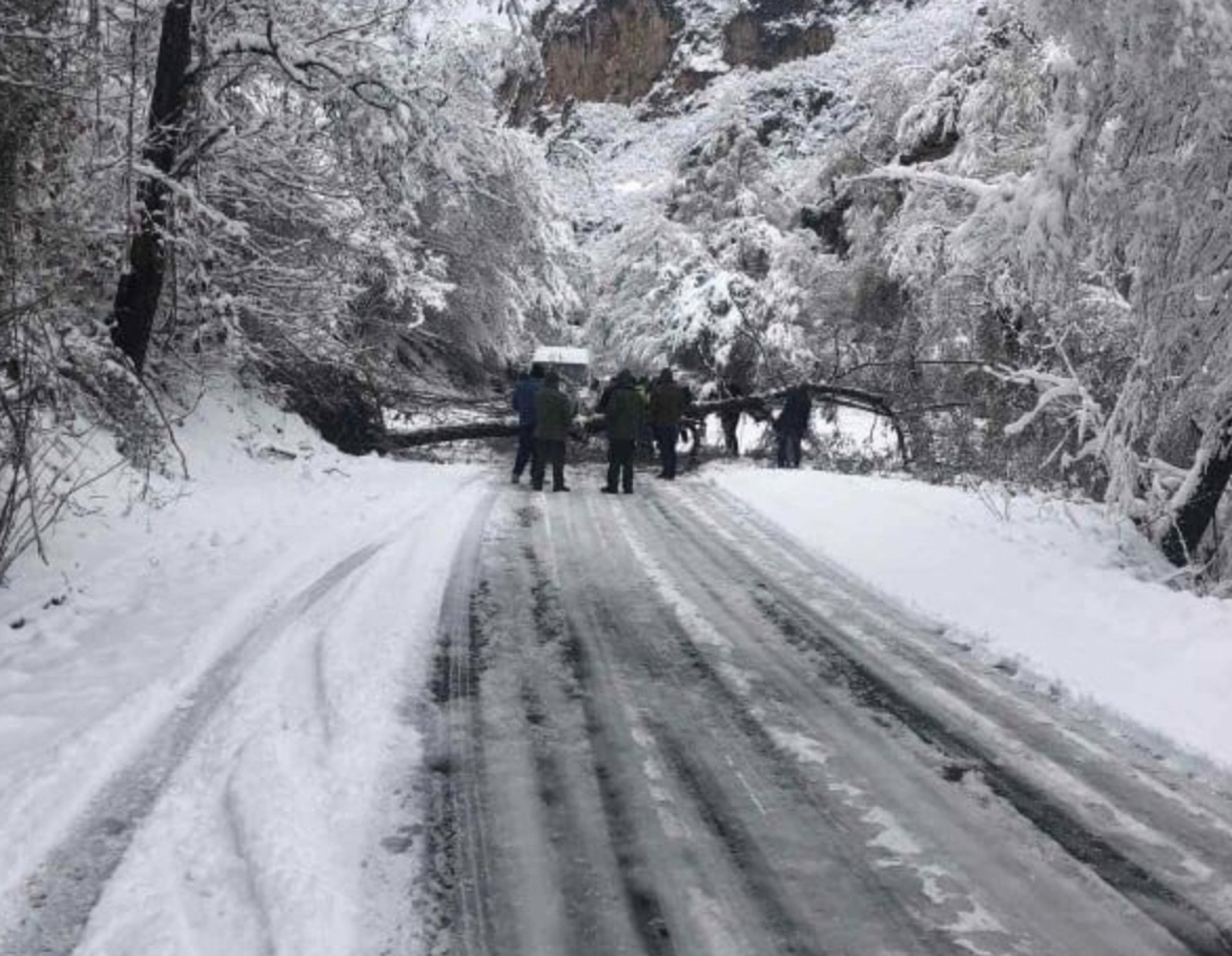 Screenshot-2021-11-30-at-11.32.32