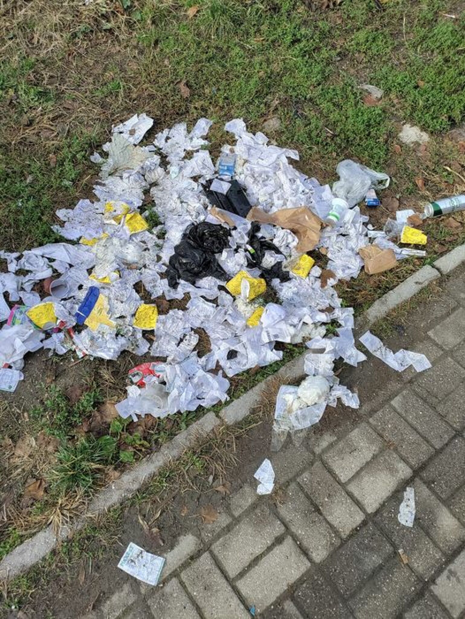 261707177_2966856950249426_194485830275133312_n