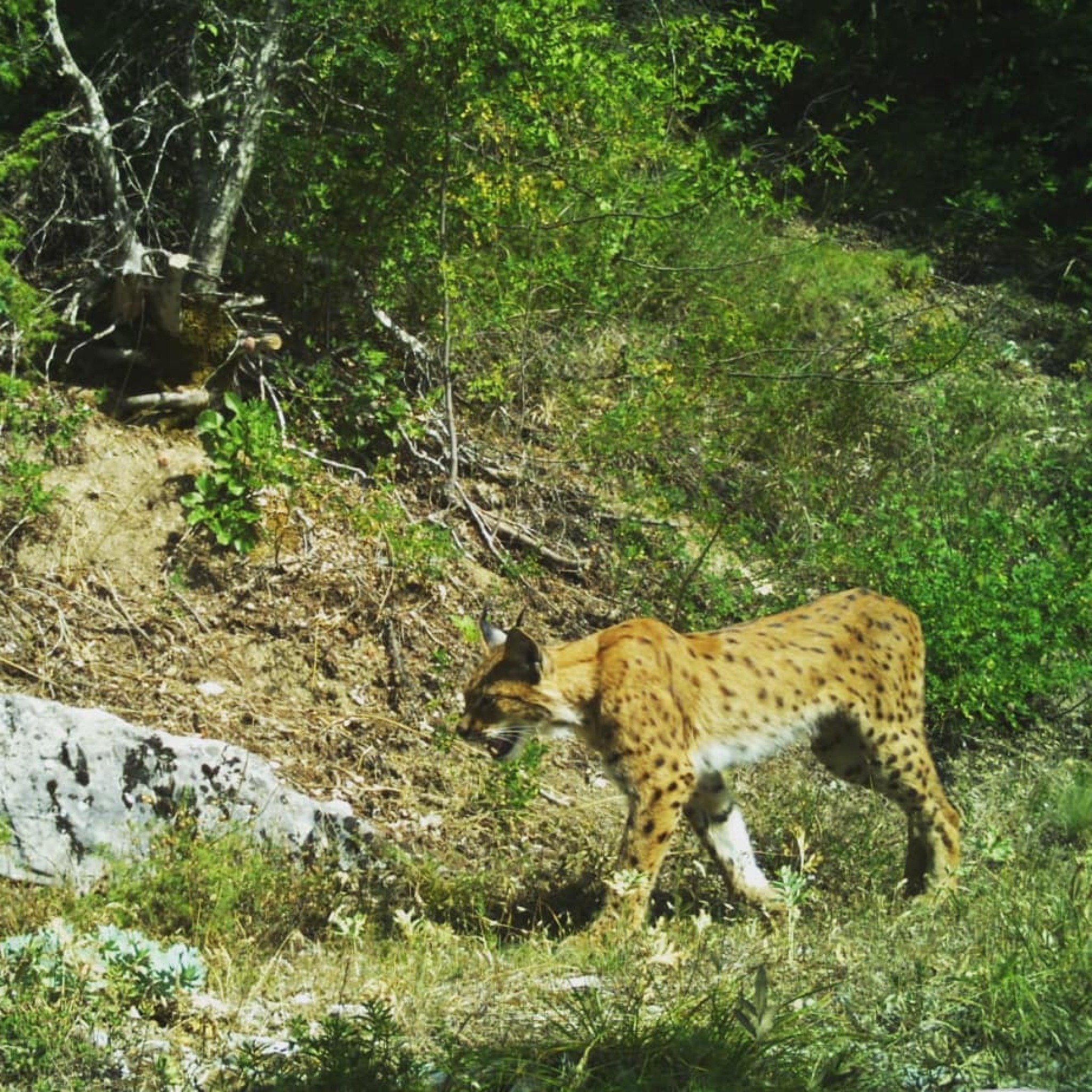 258714948_4514860741966155_7565815732756134245_n