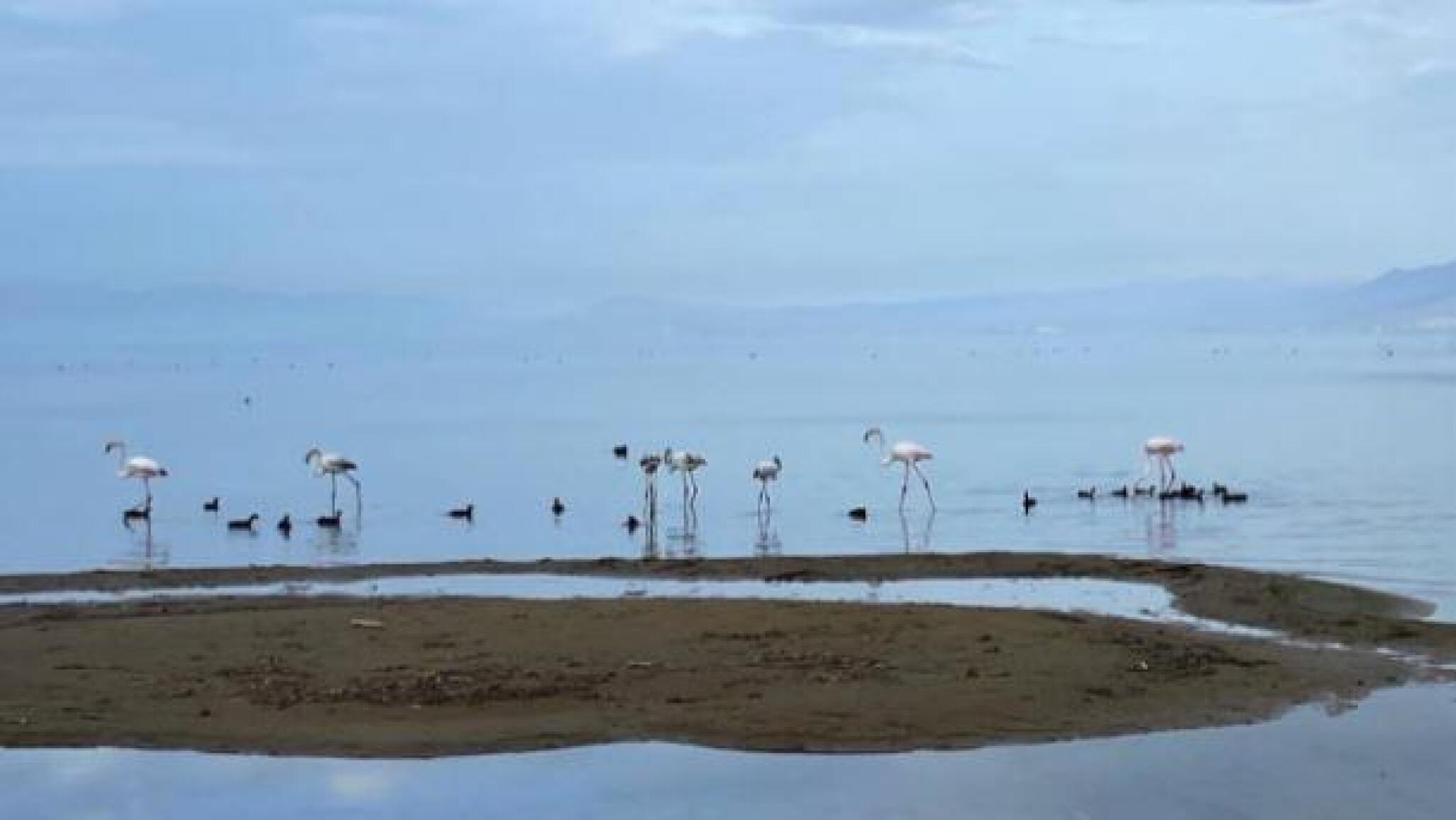 uploads_thumbs_resize_800x420_503078