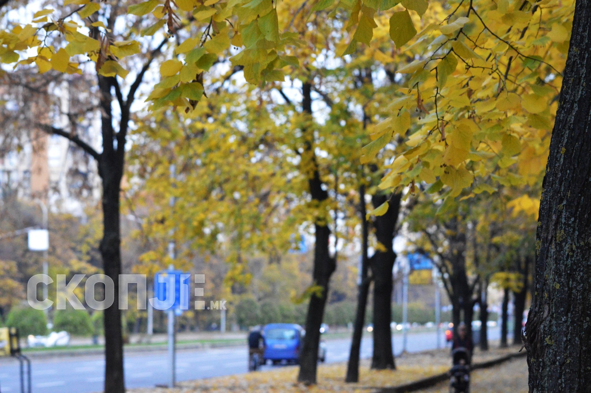 esen-lisja-vremenska1