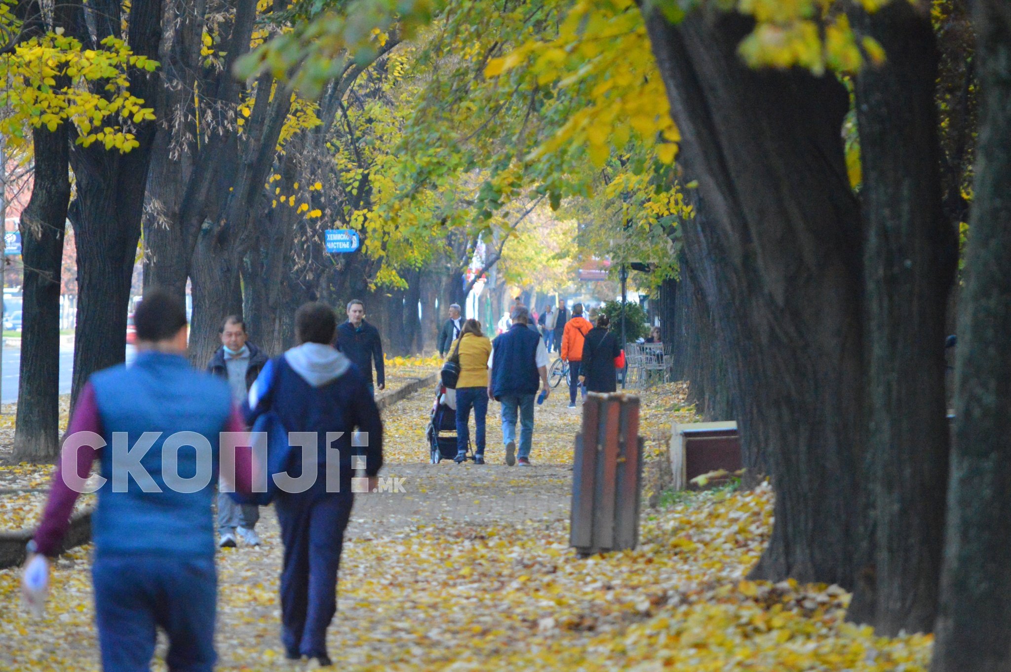 lugje-karpos-esen-korona