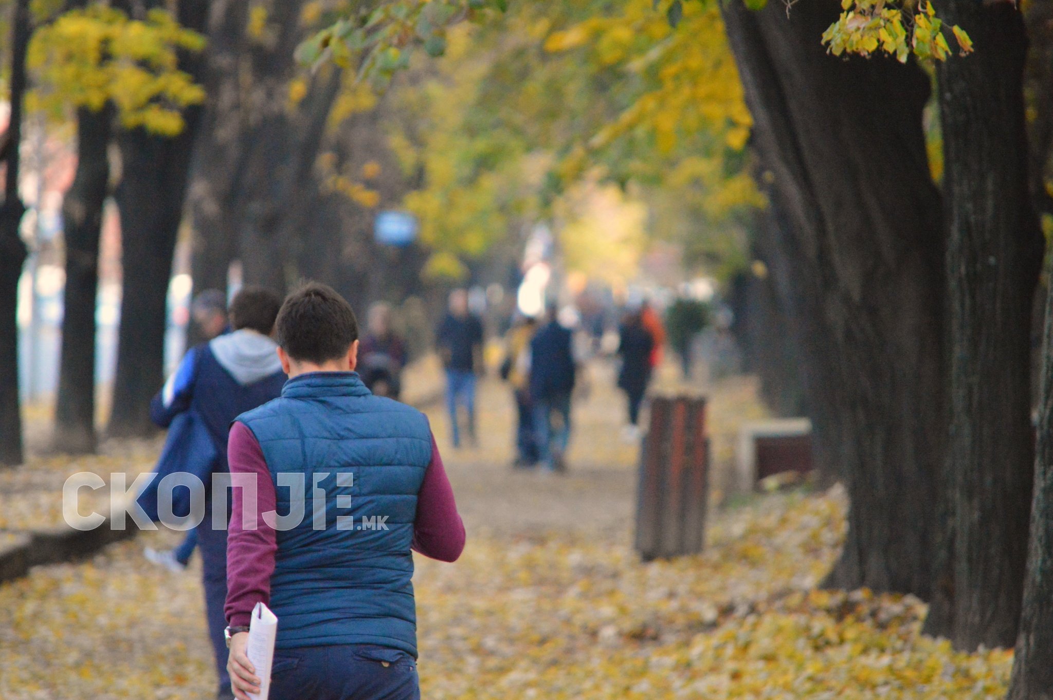 lugje-karpos-esen-korona-1