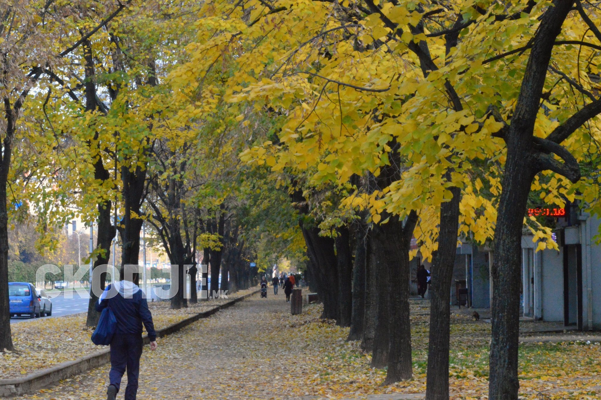 lugje-karpos-esen-korona33