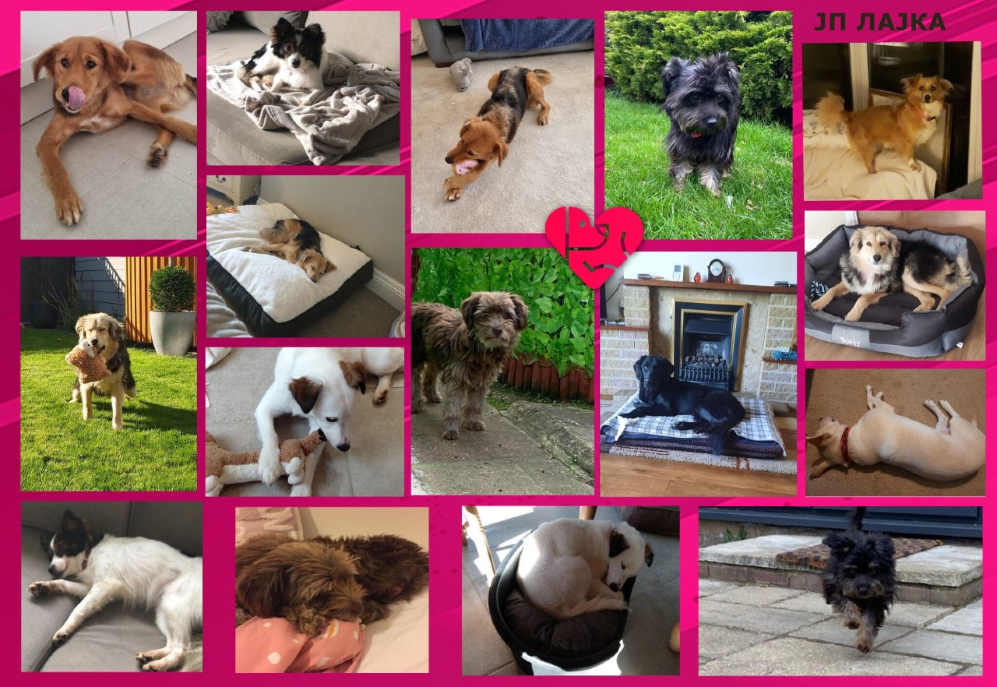 thumbnail_KUCINJA-VDOMENI-VO-UK