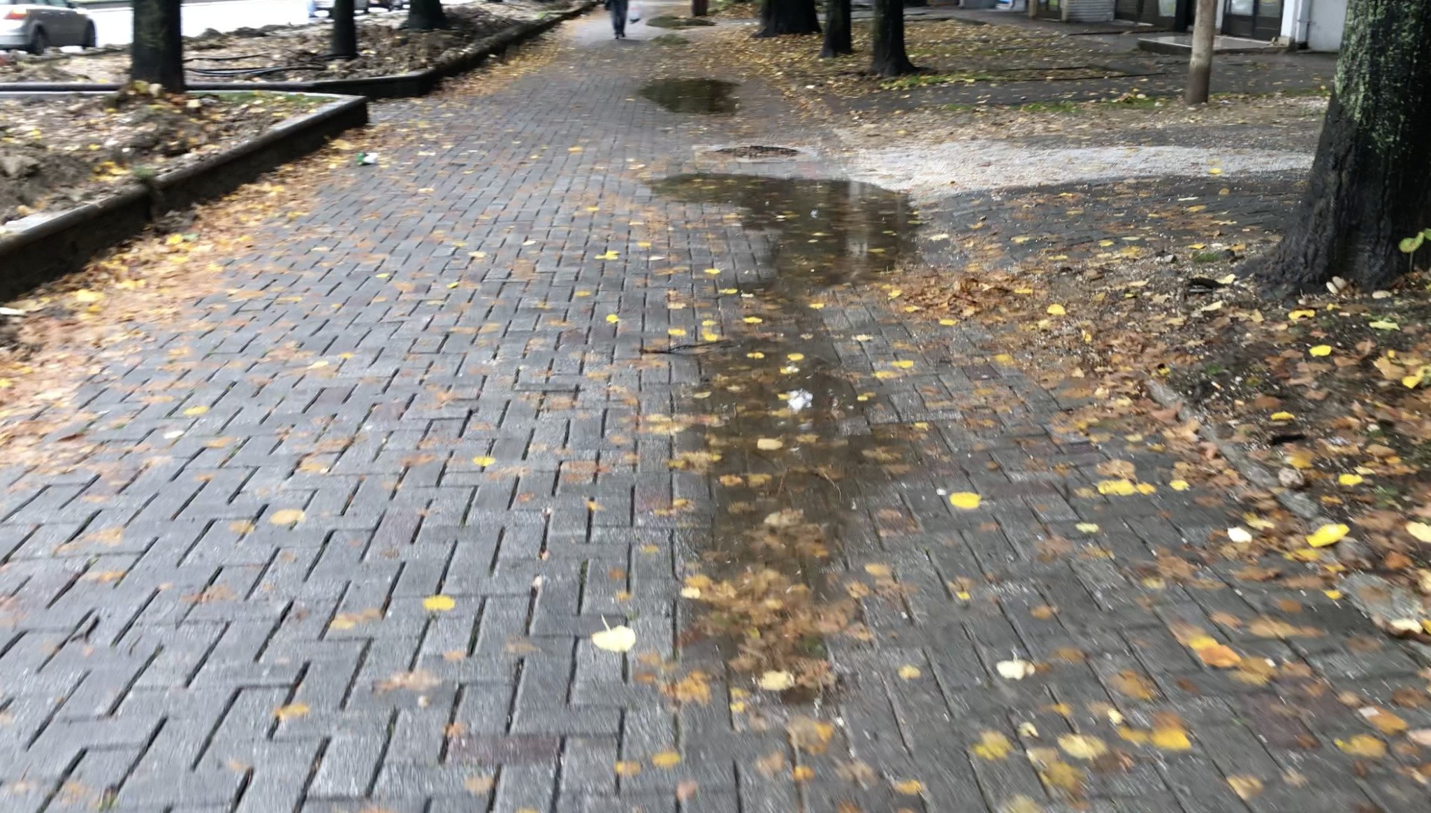 Screenshot-2021-10-10-at-15.00.06