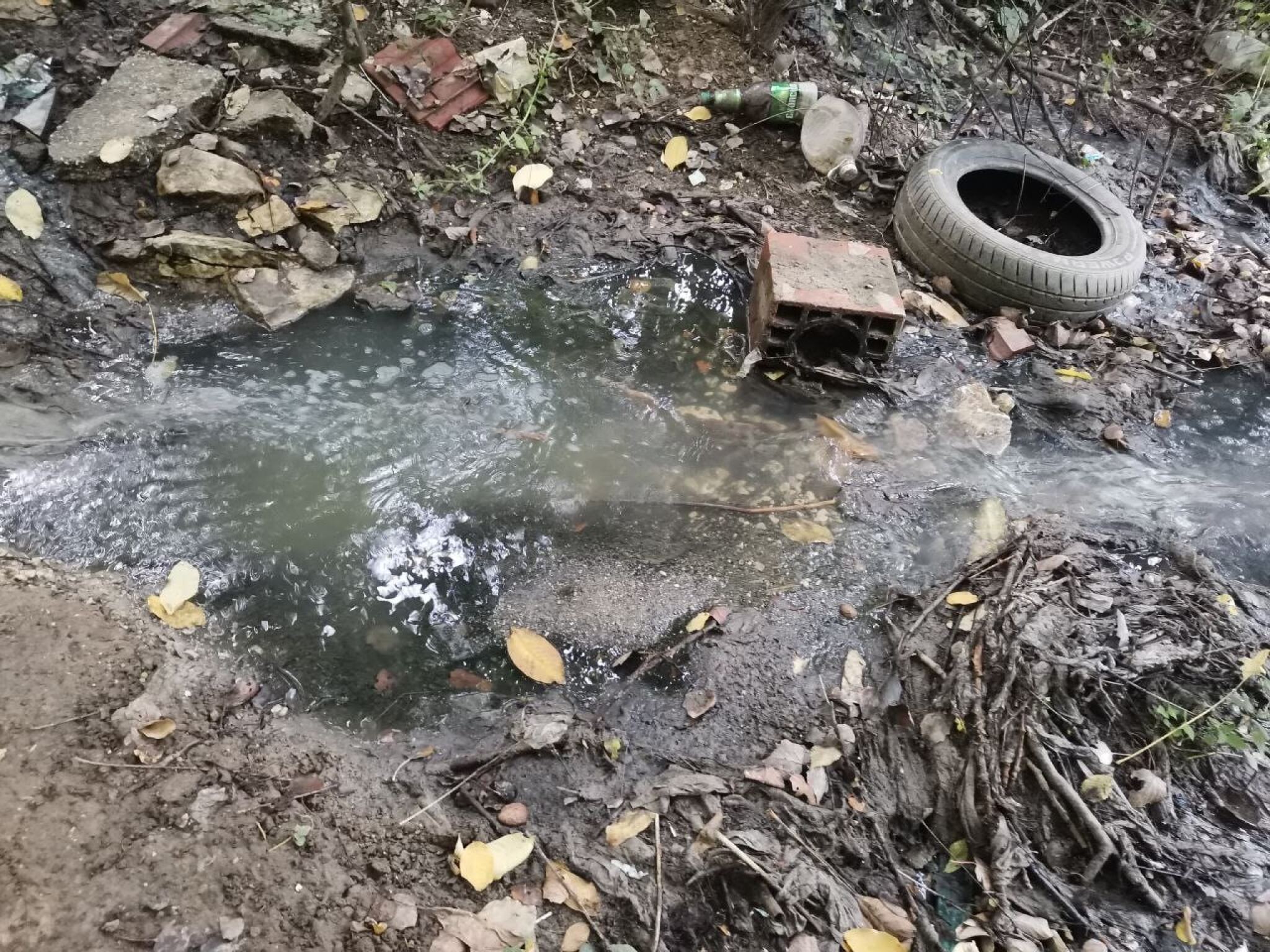 244417160_579547166816533_1485869781433207084_n