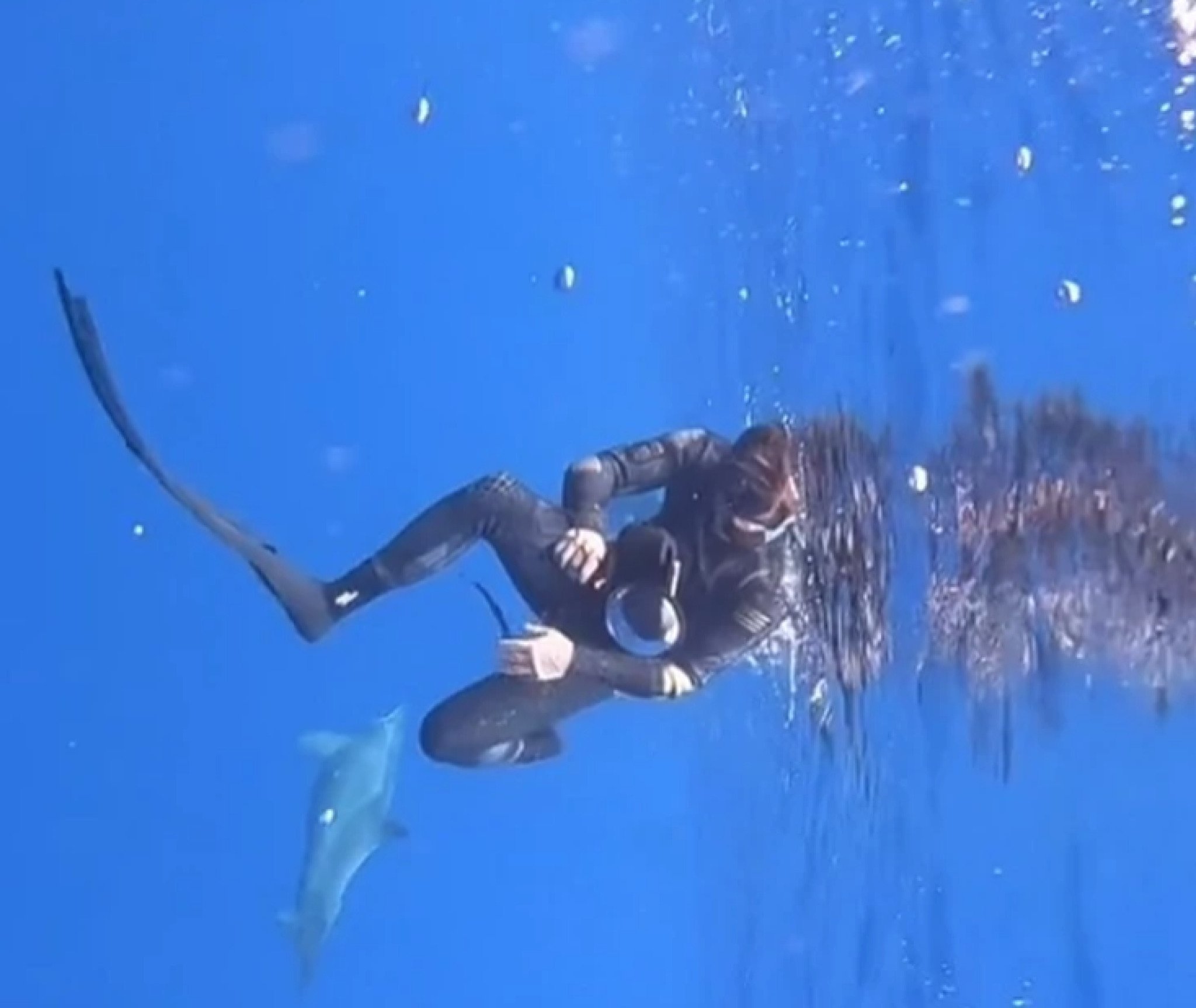 Screenshot-2021-10-02-092656