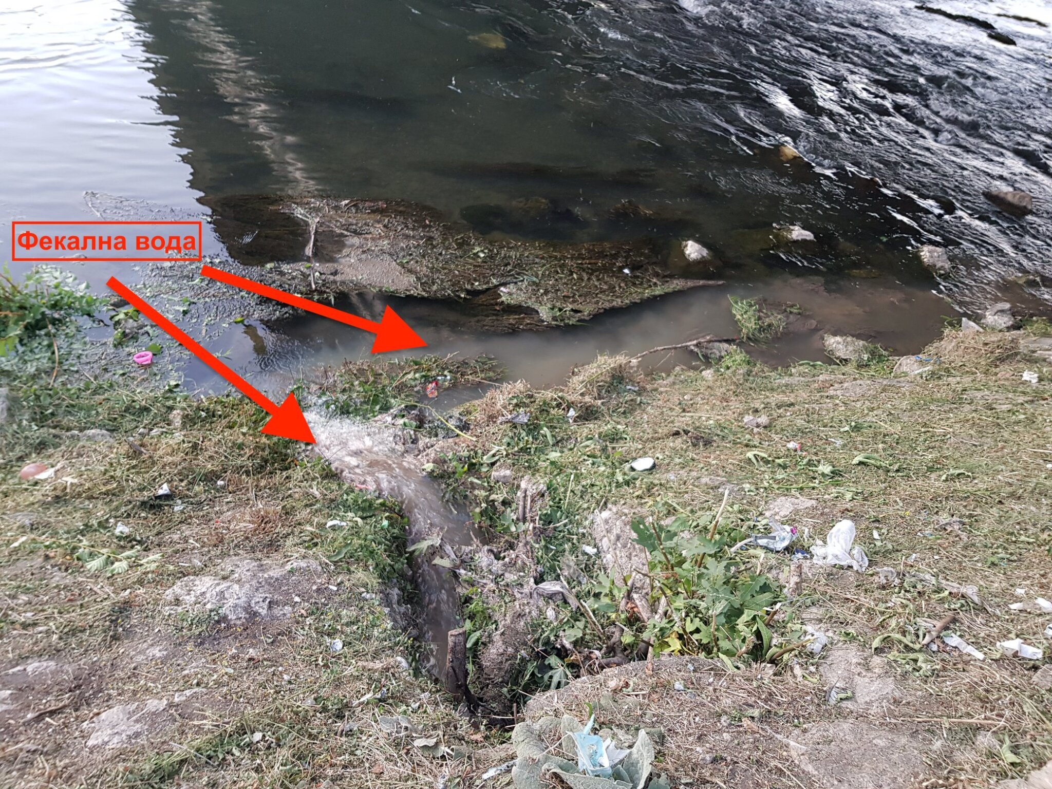 243138901_178463897727301_1143783131453727763_n