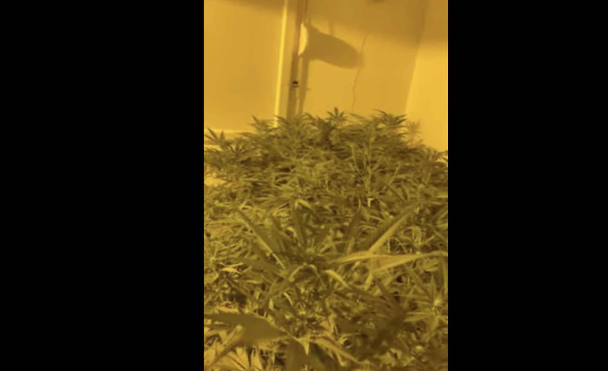 Screenshot-2021-09-15-at-10.42.24