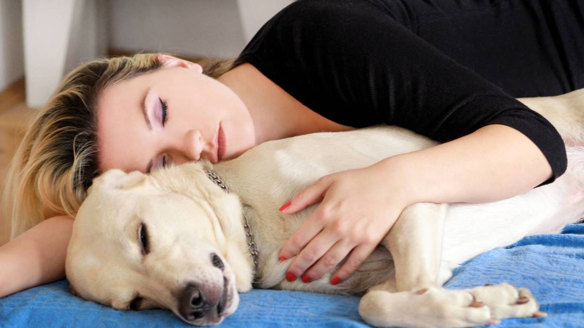 dreamstime-m-129728943