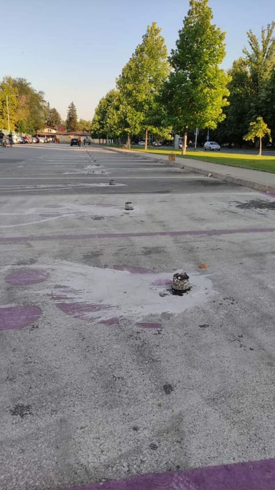 241184982_3685558075002097_523174684234751802_n