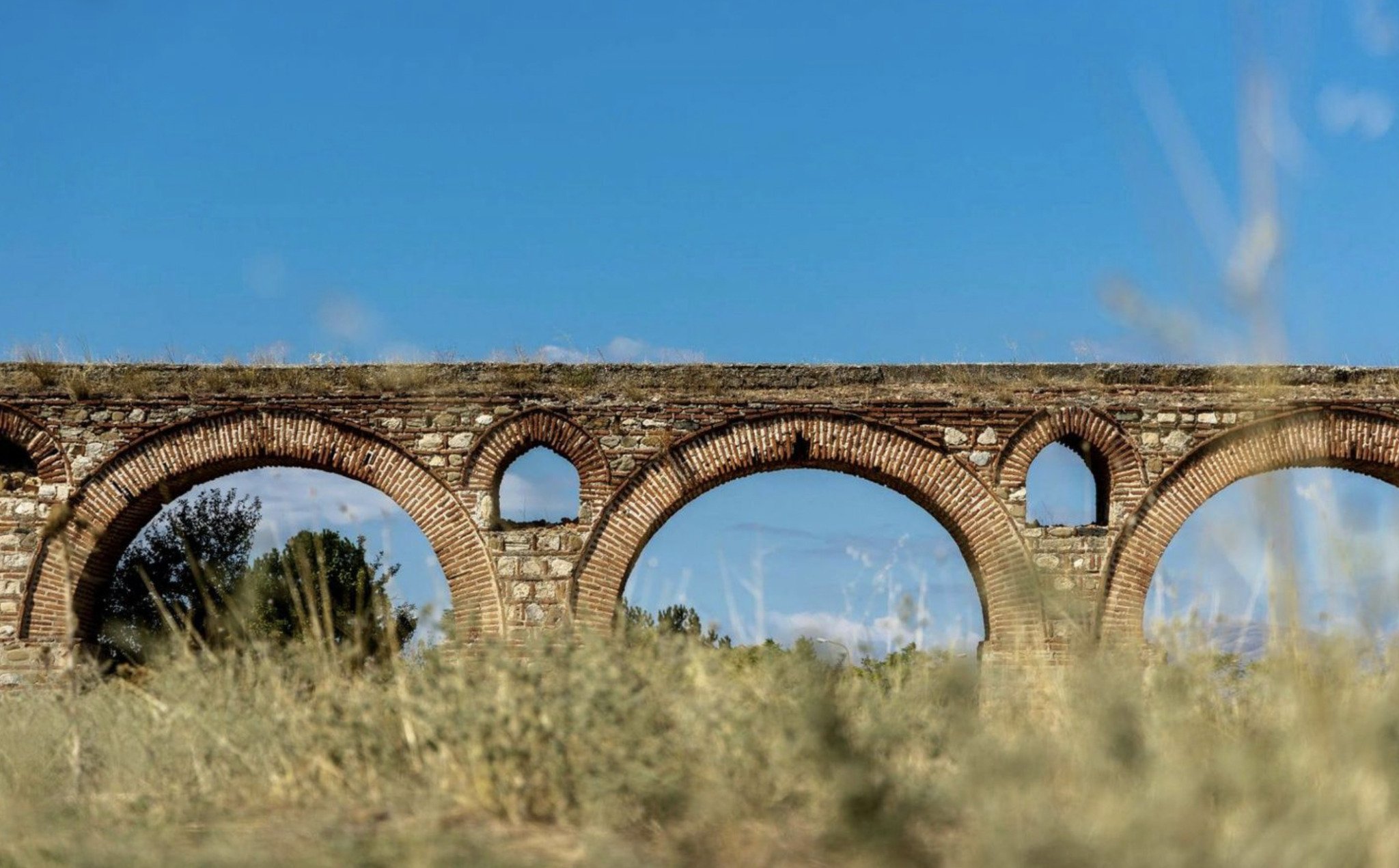 Screenshot-2021-09-02-at-14.26.42