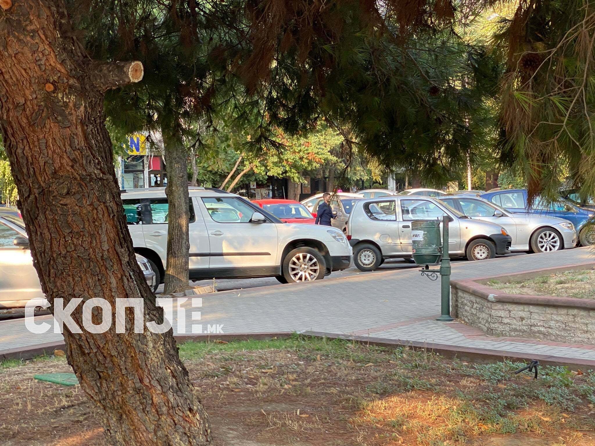 239115719_628526921462322_1919467288656710520_n