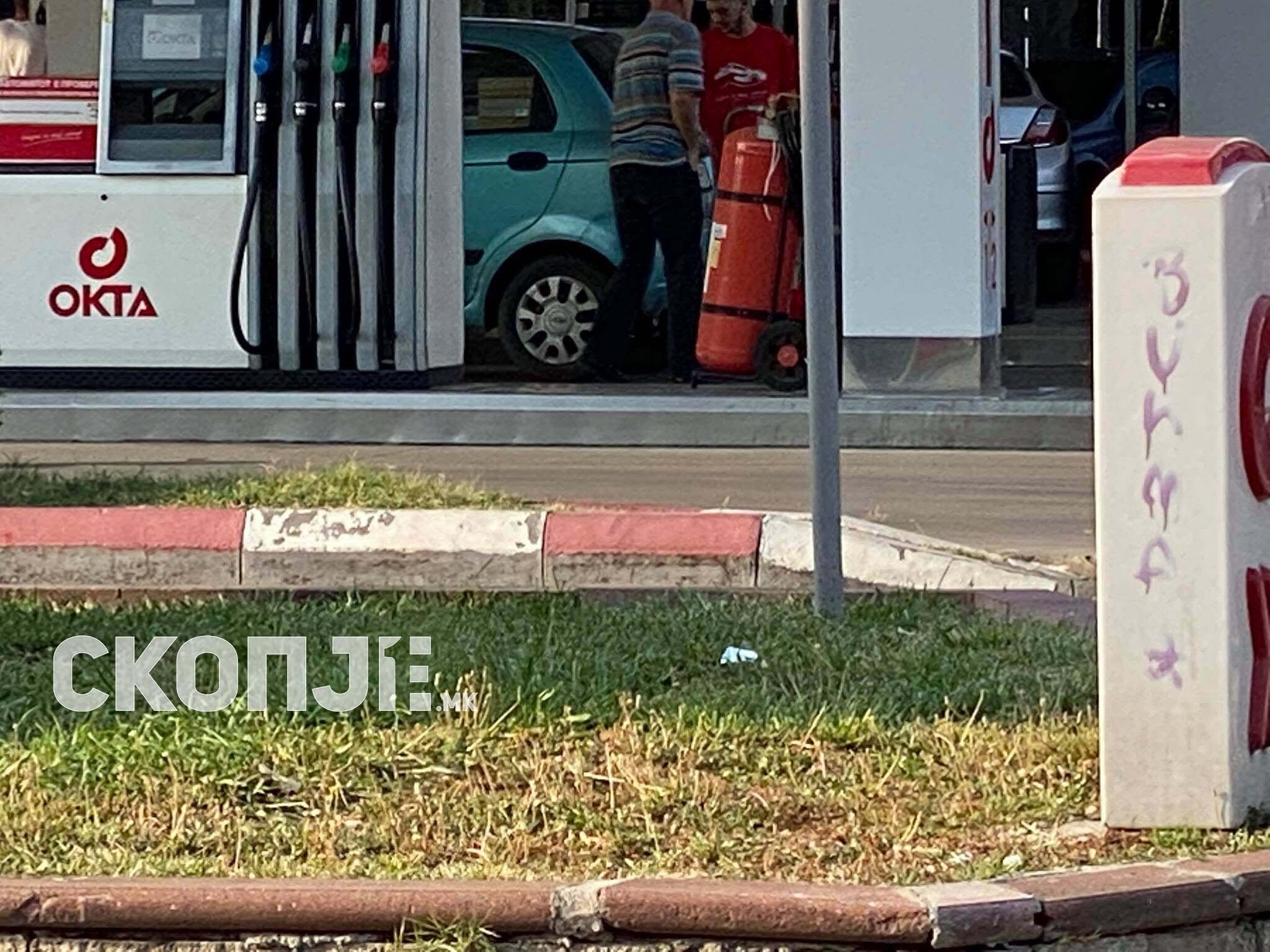 234786586_397205545075467_2082182706027825334_n