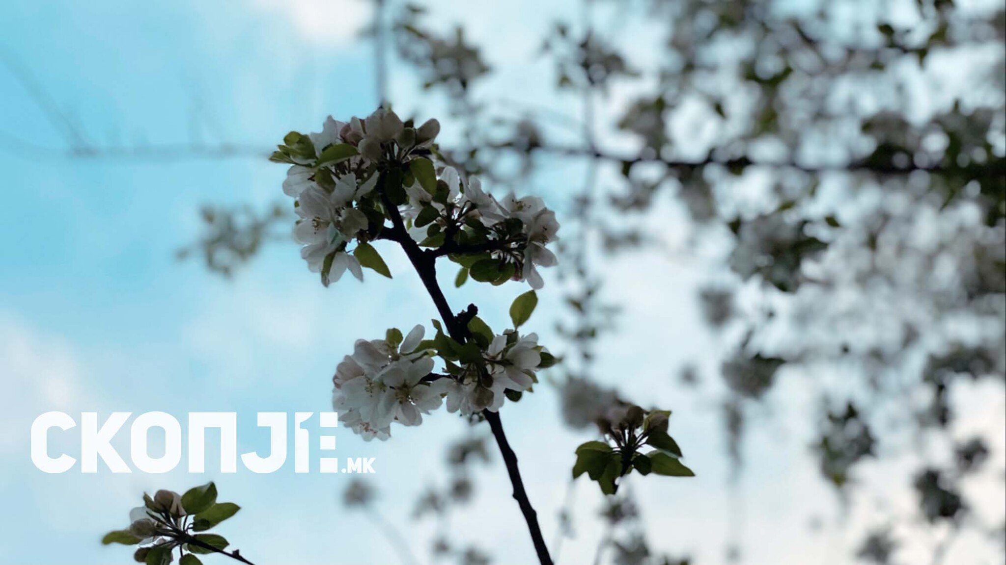 AF5B8913-AAD4-498D-BB10-C77D5E0757F5